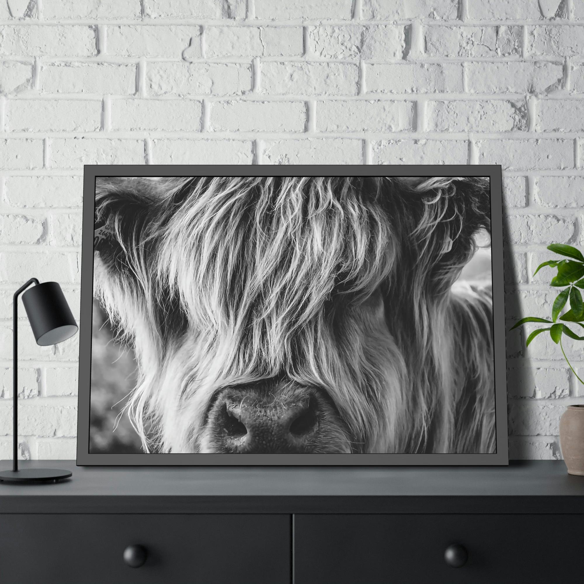 Highland Cow Highland Cow | Close-up View of Fluffy Buffalo on Canvas — Pixoram