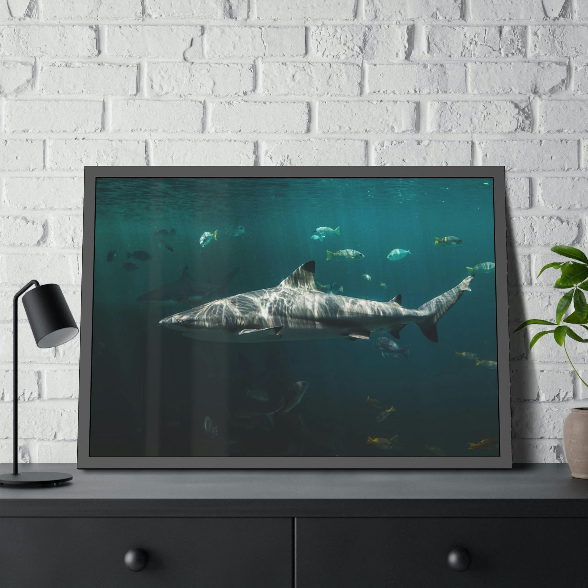 Sharks Silent Predators: Sharks' Haunting Canvas