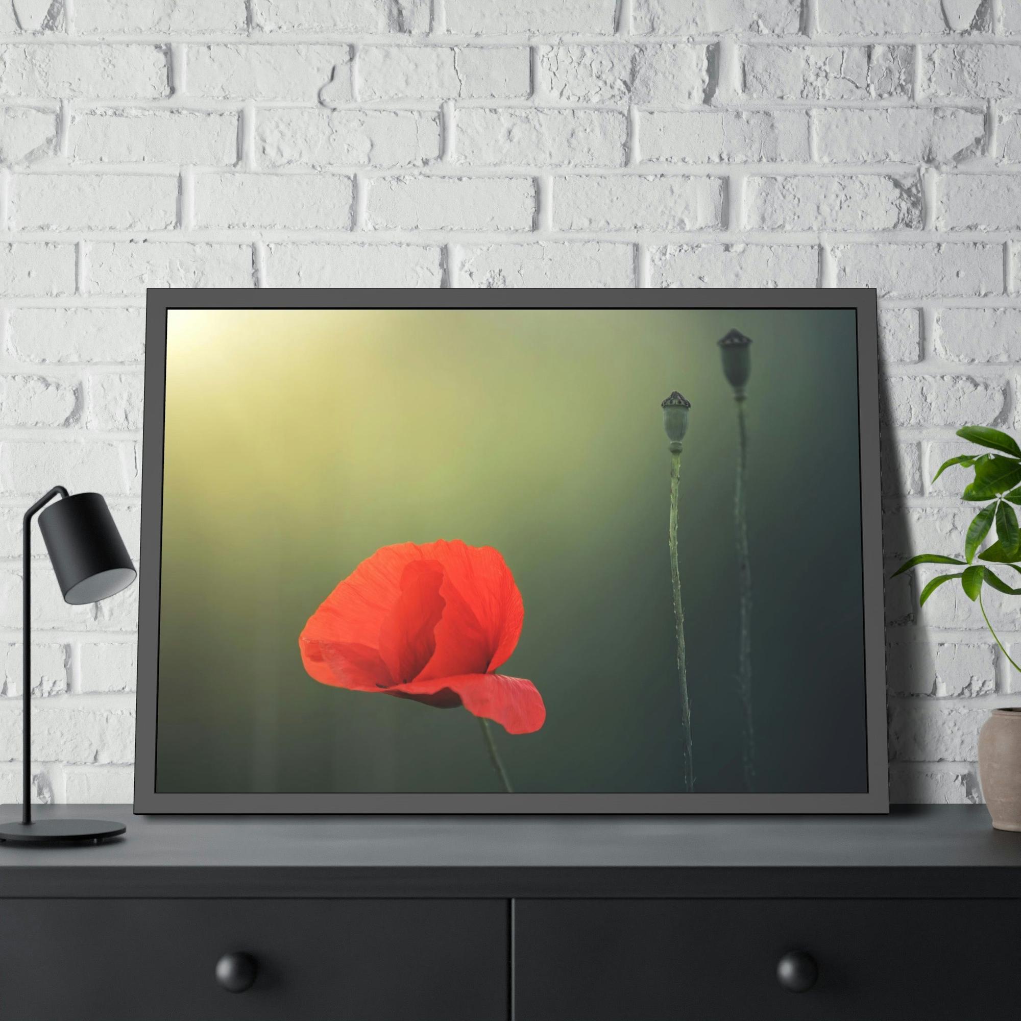Poppies Pure and Simple: A Painting of a White Poppy as a Symbol of Purity