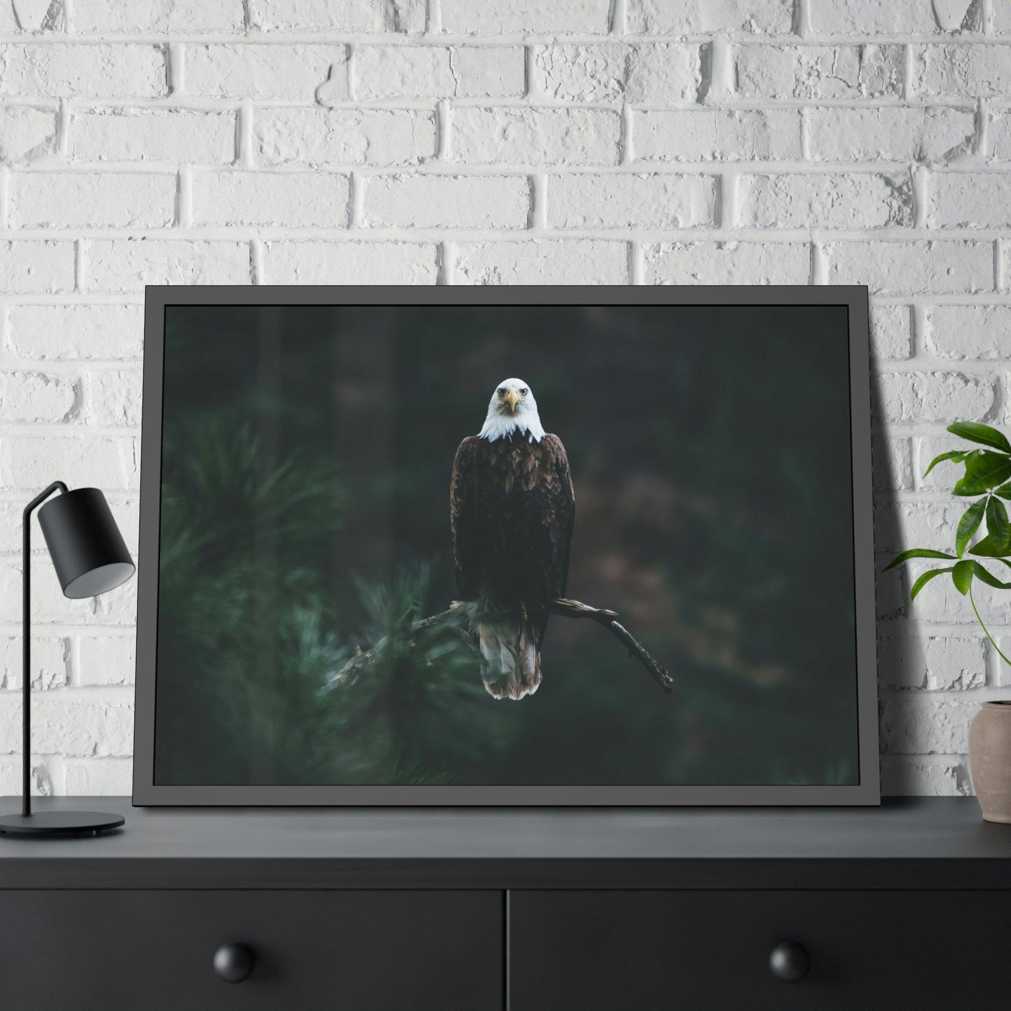 Eagles Eagle's Serenity: Canvas Print, Capturing their Tranquil and Regal Aura