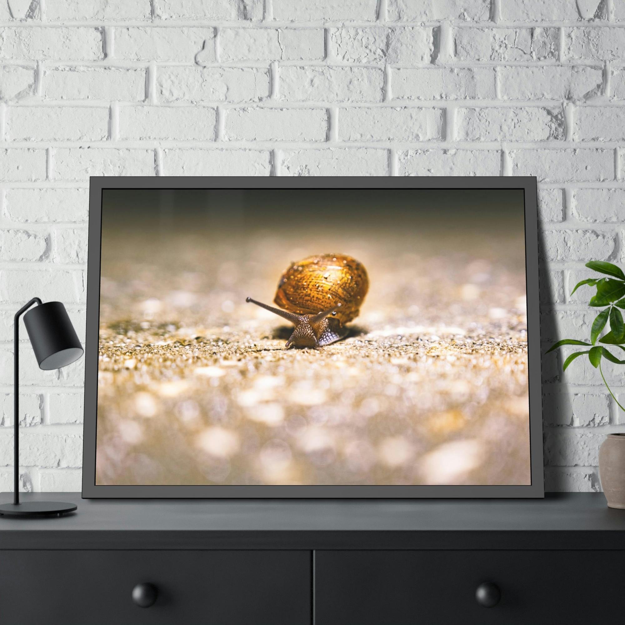 Snails A Slow Journey: Snails on the Move