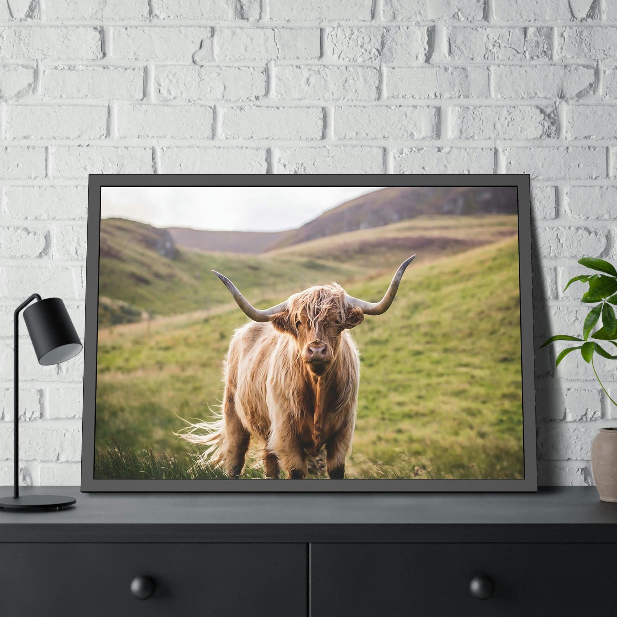 Highland Cow Highland Cow | Furry Cow on a Sunny Day | Canvas Art — Pixoram