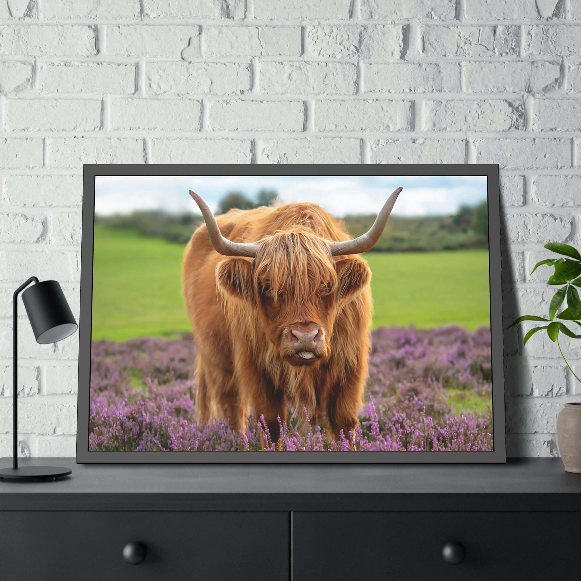 Highland Cow Highland Cow | Brown Cow in the Flowering Field | Canvas Art — Pixoram