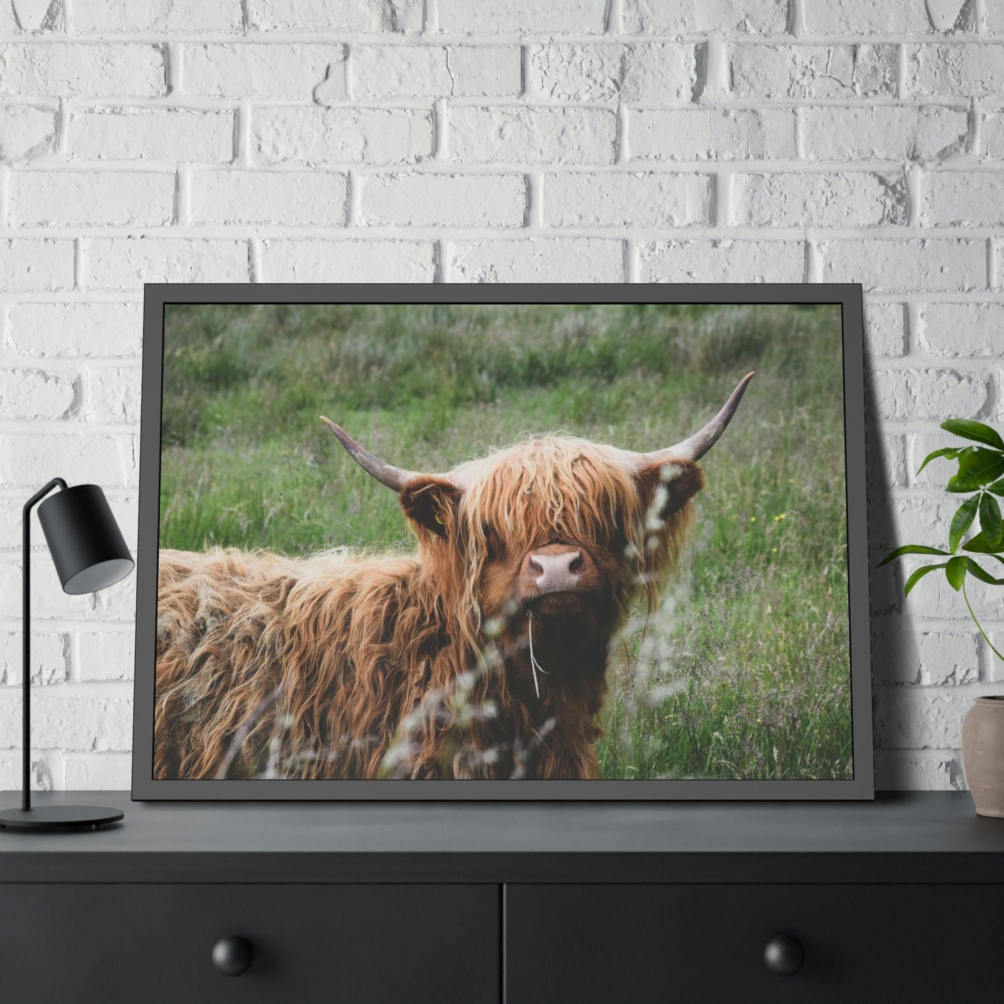 Highland Cow Highland Cow Calf: Adorable Wall Art on Natural Canvas