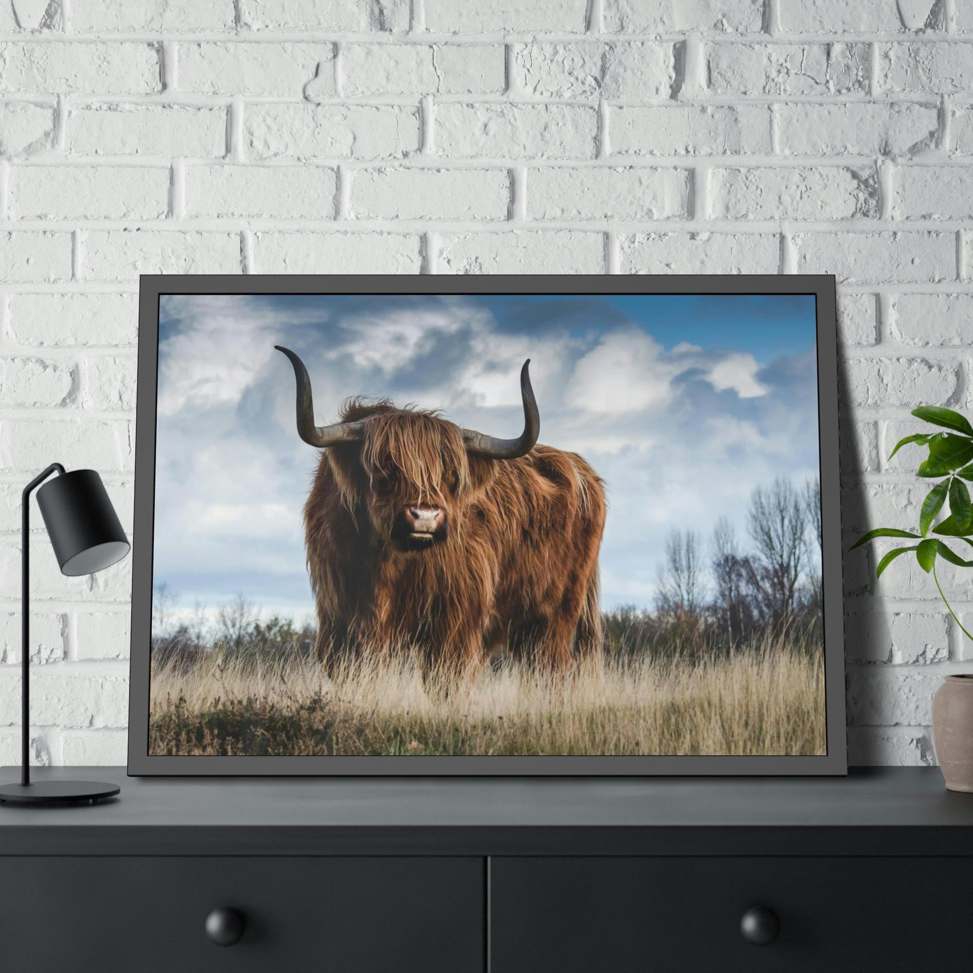 Highland Cow Scottish Long Haired Cattle - Wall Art - Highland Cow | Animals Art