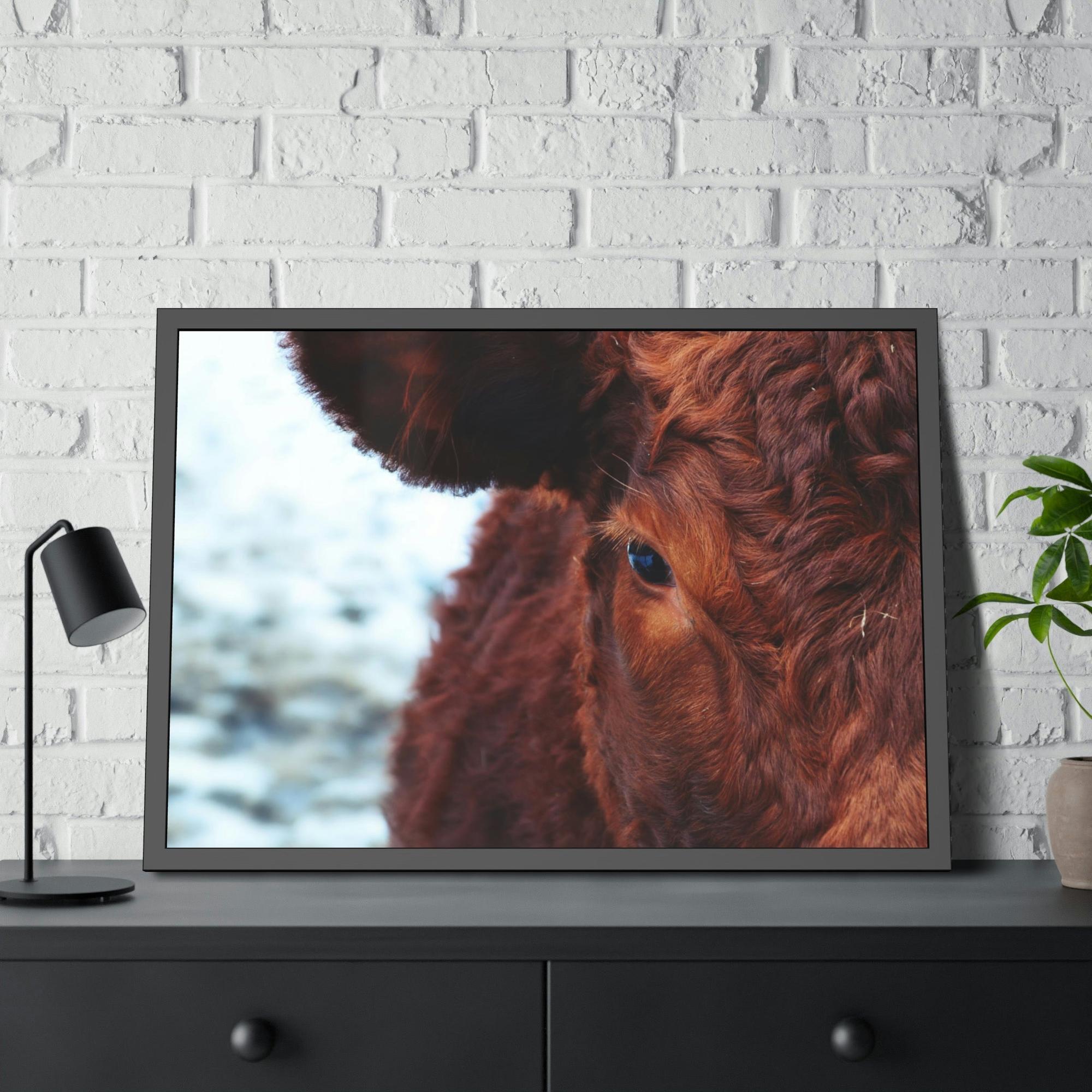 Highland Cow Nelore Cattle Brazil - Wall Art - Wall Art - Animal Canvas