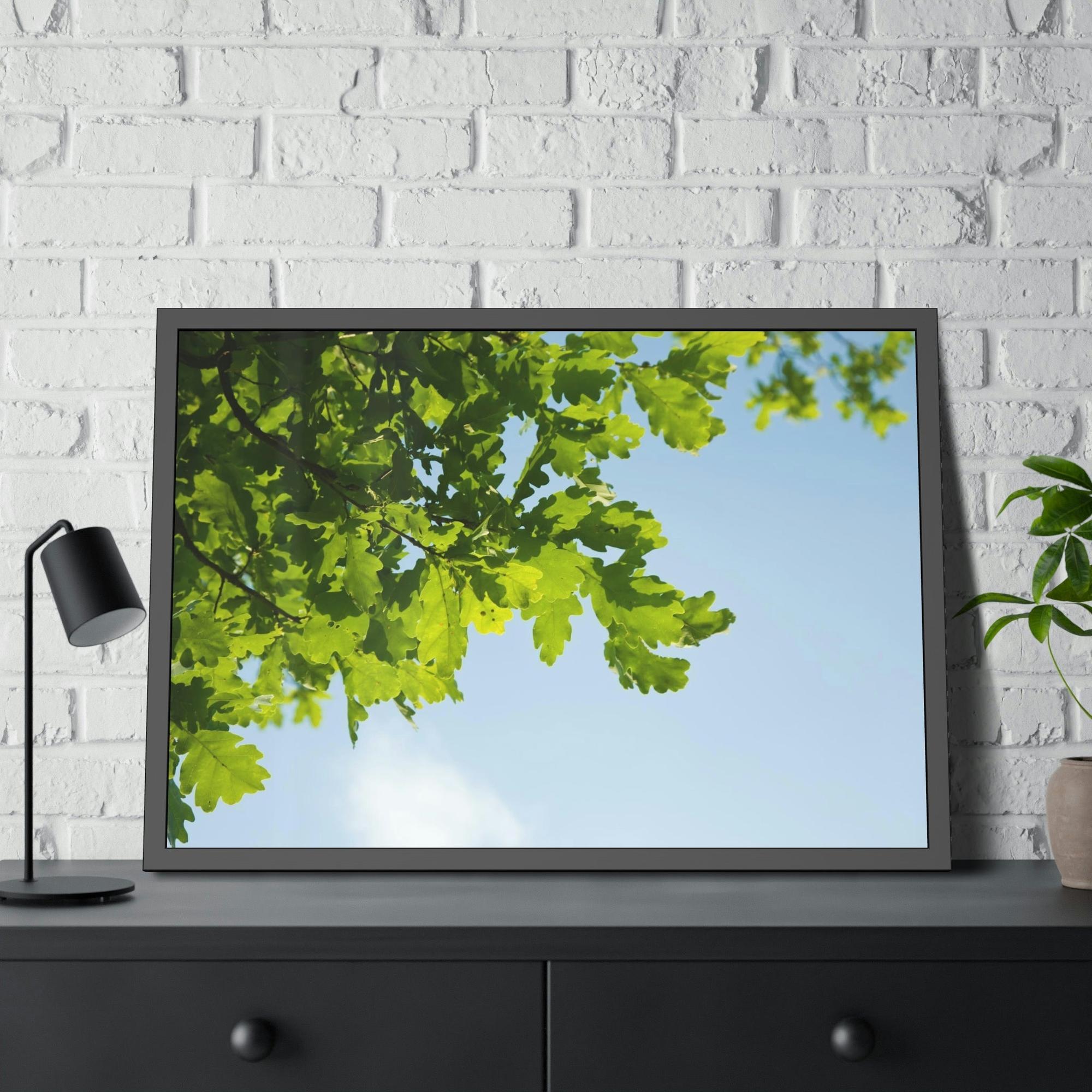 Oak Trees Oak Trees' Radiance: A Luminous Vision of the Forest's Brilliance