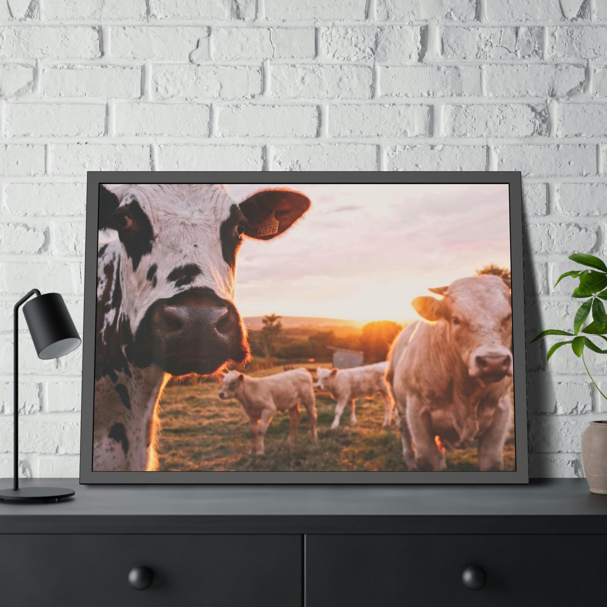 Cows The Grazing Herd: Natural Canvas Print of Cows in the Field
