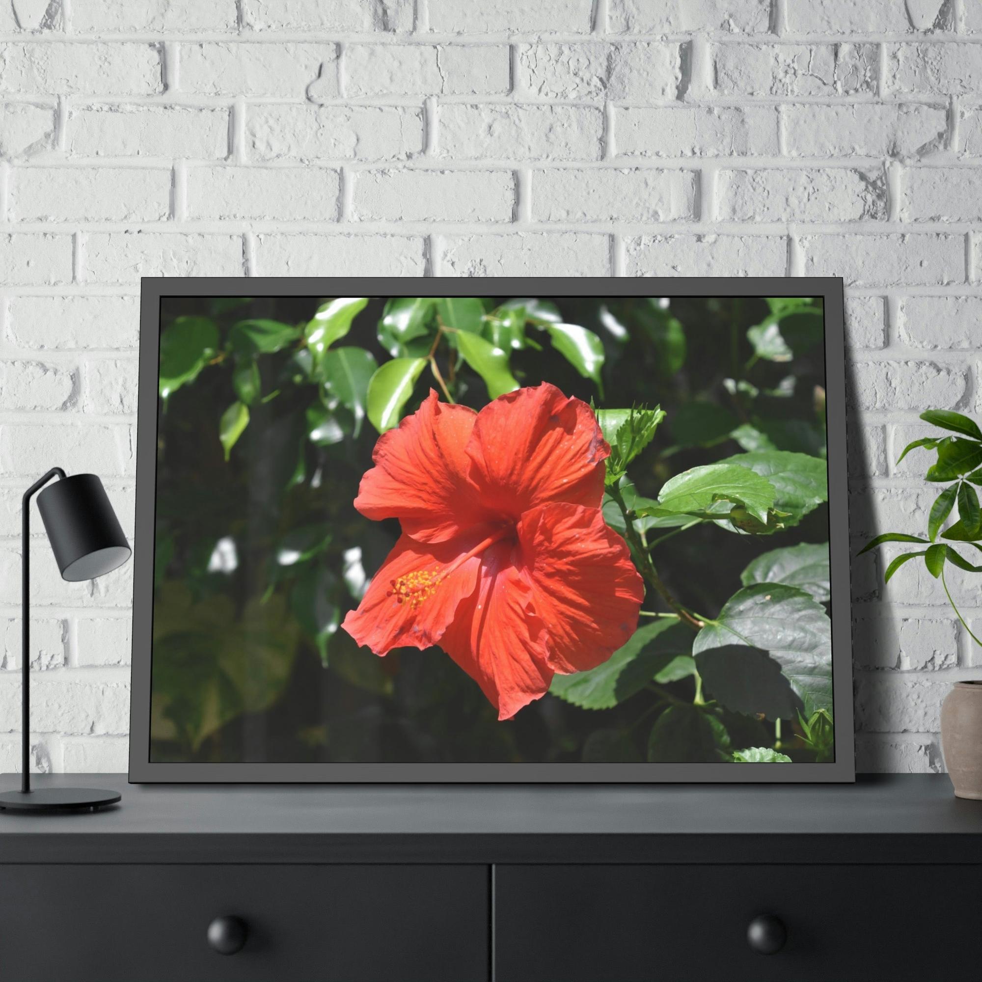 Hibiscuses The Charismatic Hibiscuses: A Vivid Showcase of Nature's Grace and Elegance