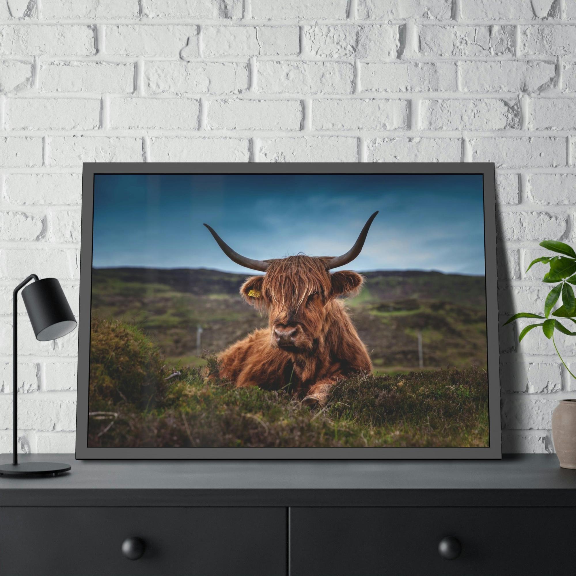 Highland Cow Scottish Longhorn Cattle - Canvas Art | Animals Art