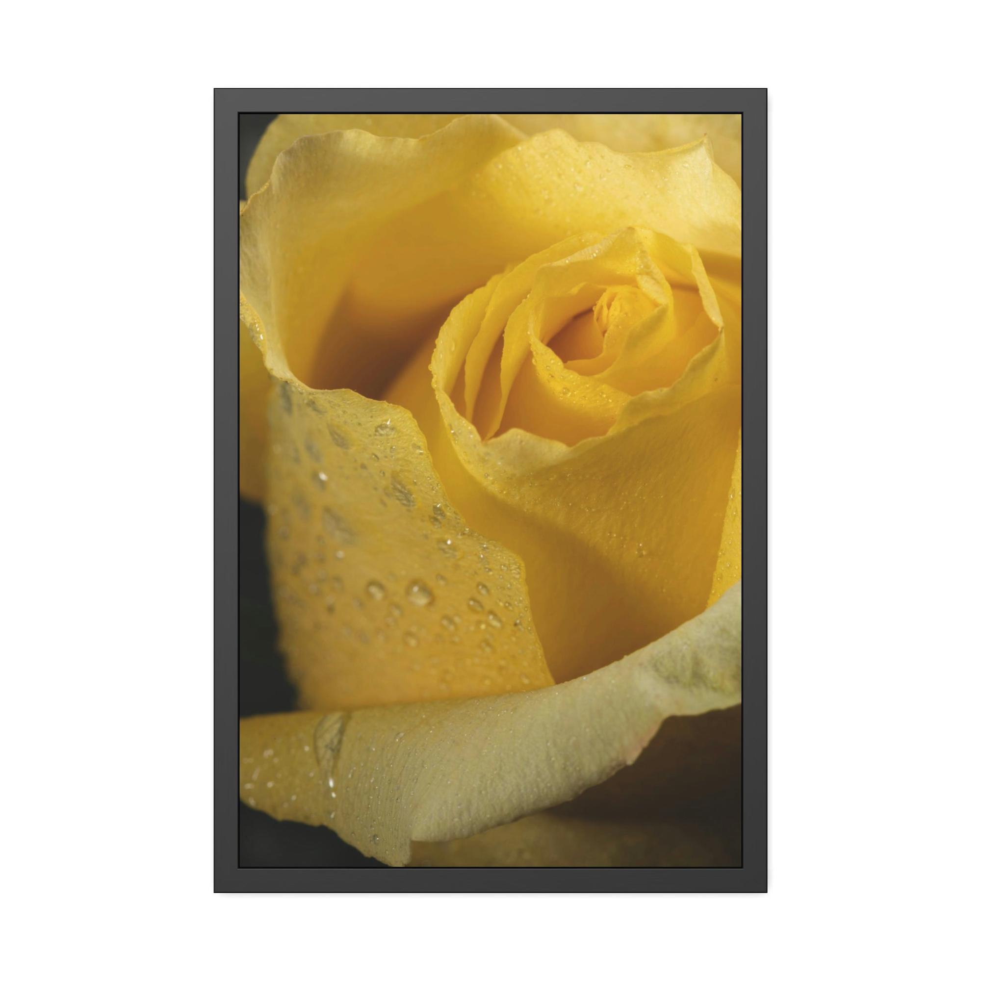 Roses Rose Radiance: A Vibrant and Lively Painting on Canvas