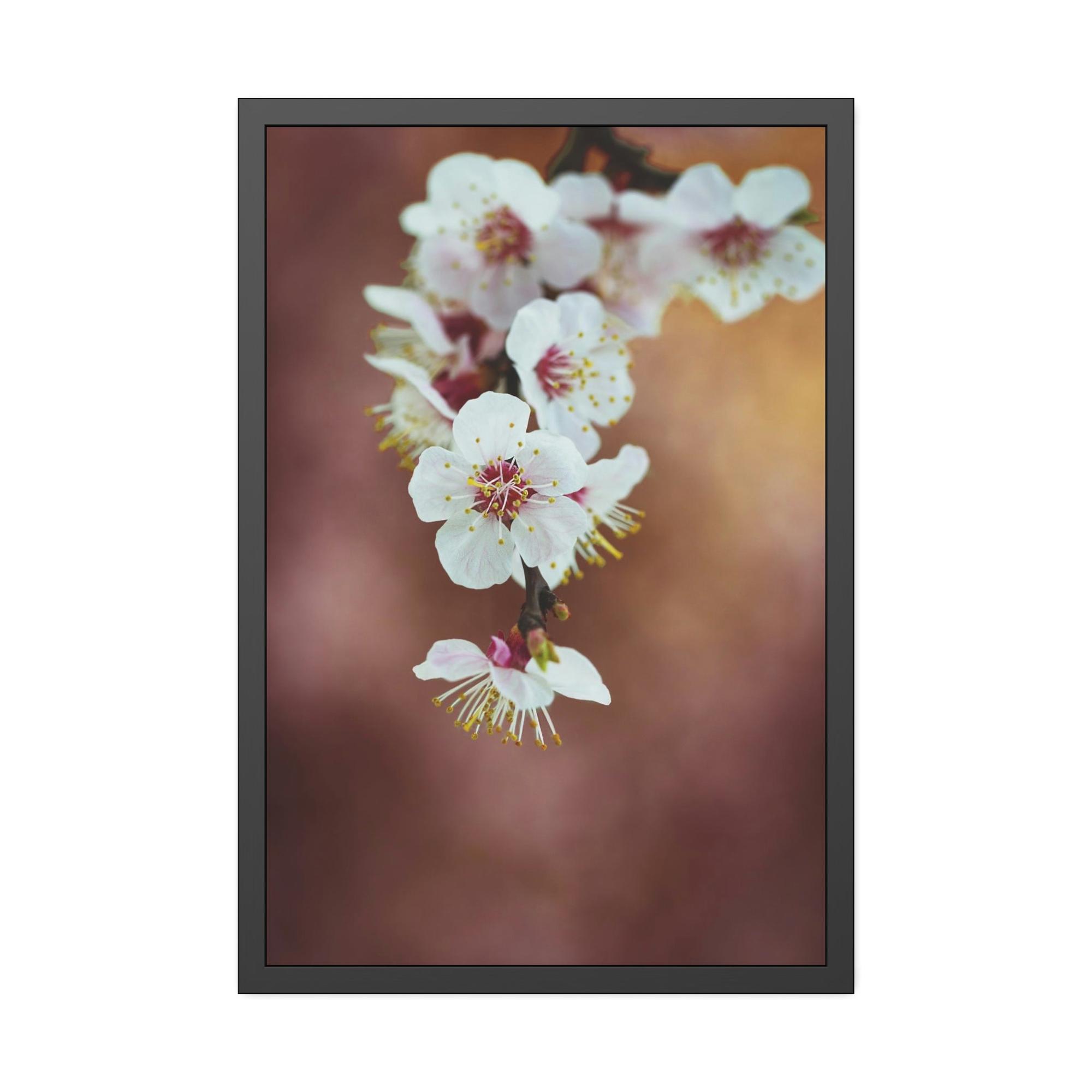 undefined Almond Blossoms in Bloom: Framed Canvas & Poster Wall Art
