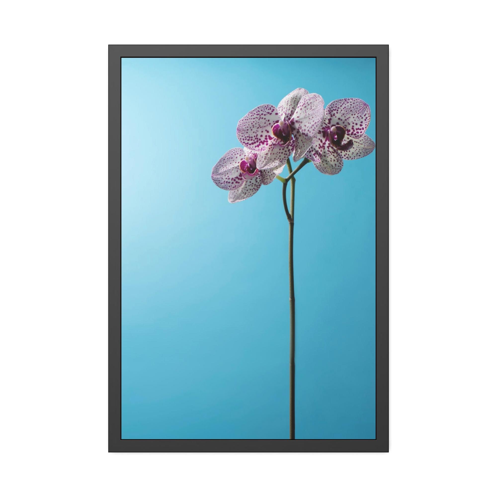 Orchids Orchid Elegance: Serenity on Canvas