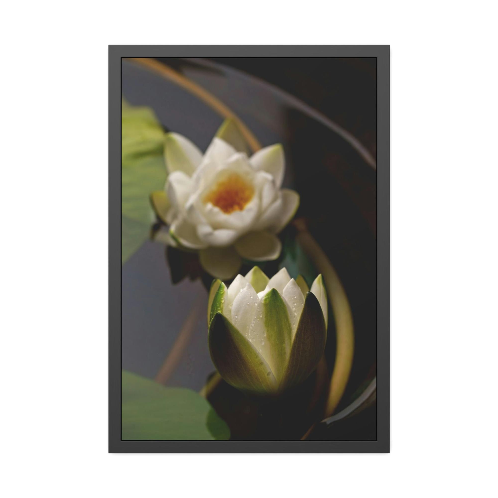 Lotuses Lotus Garden: Elegant Framed Poster and Print on Canvas