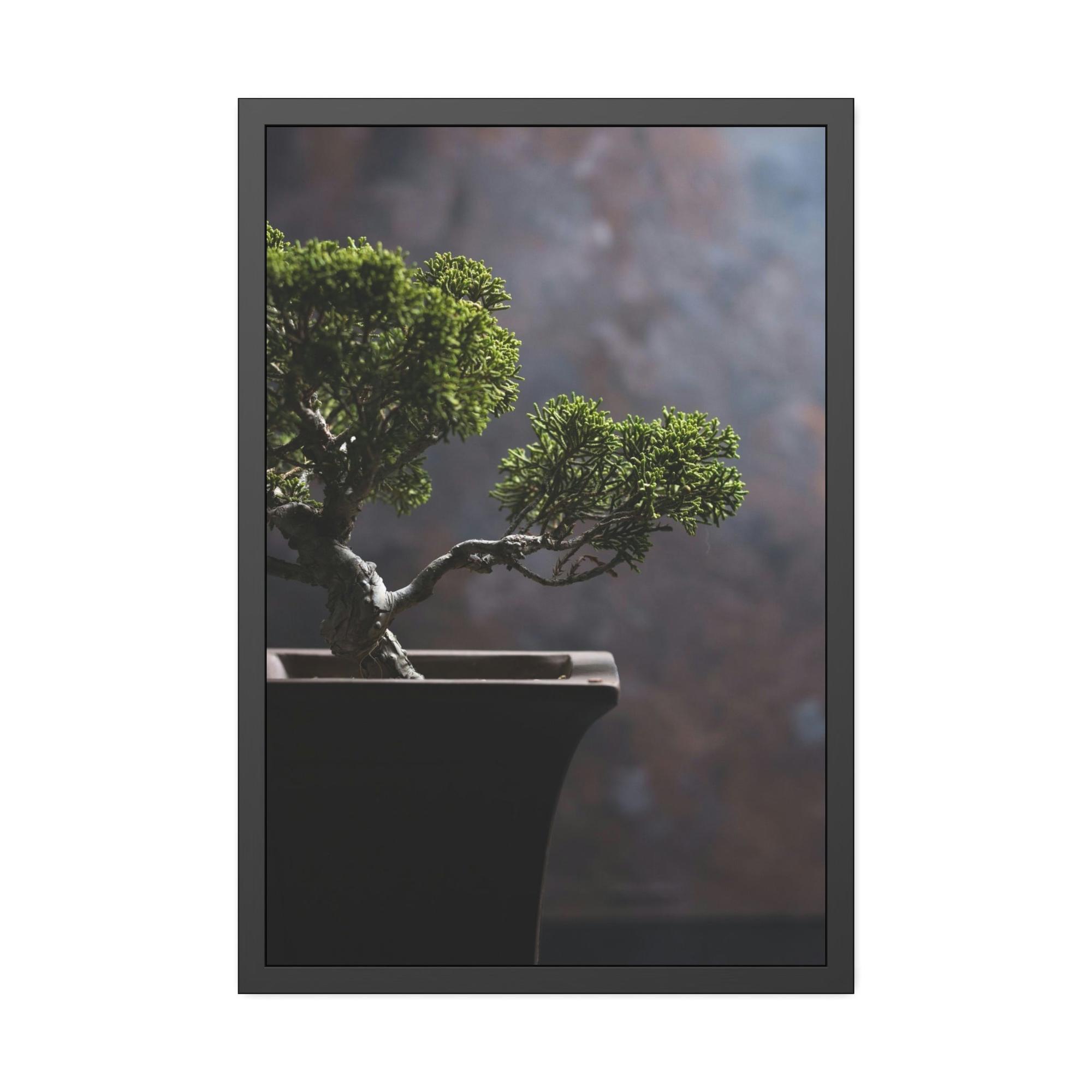 undefined Bonsai Harmony: Framed Canvas and Print with Balanced Bonsai Tree Art
