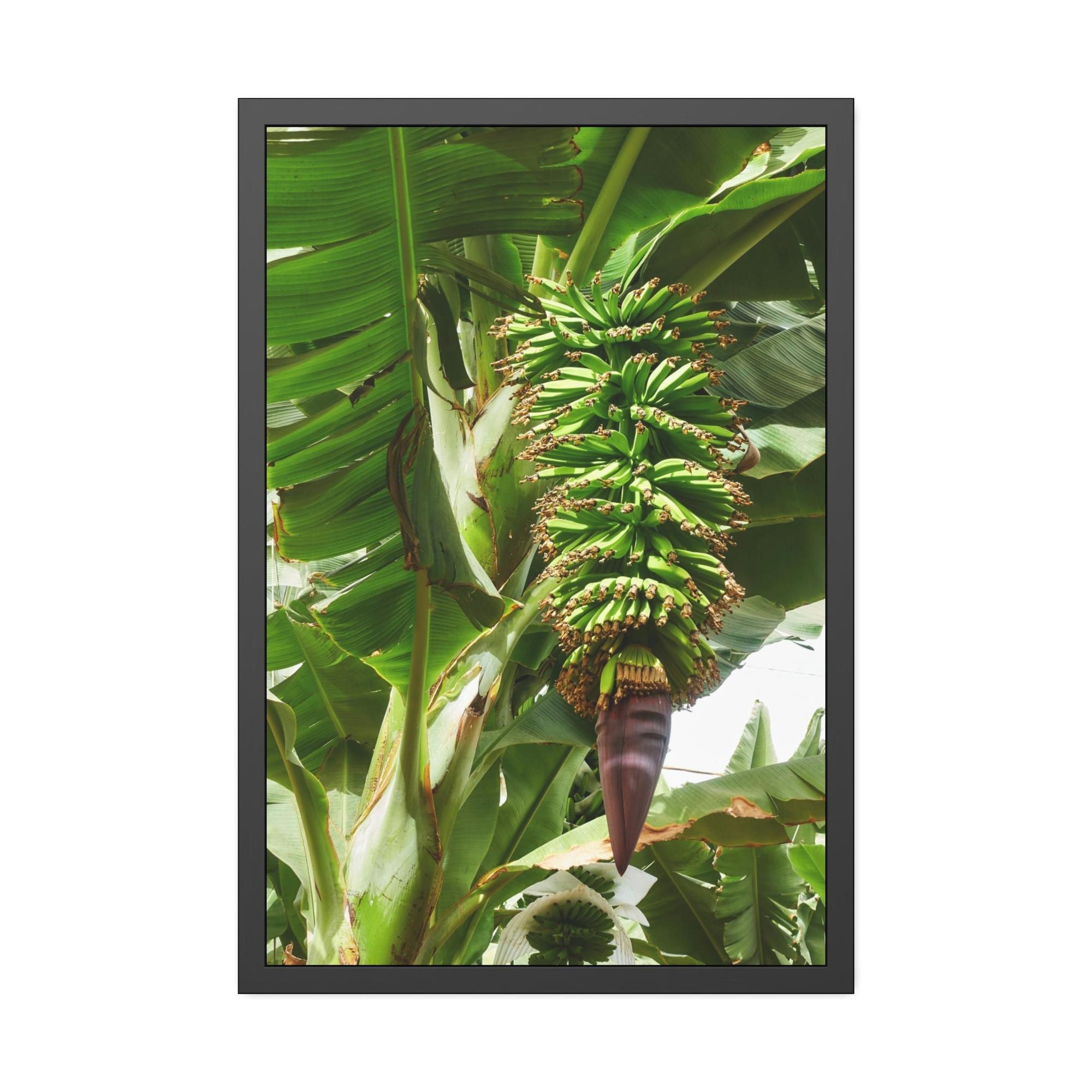 Banana Trees Tropics Calling: Canvas Art with Vibrant Banana Trees in a Jungle Setting