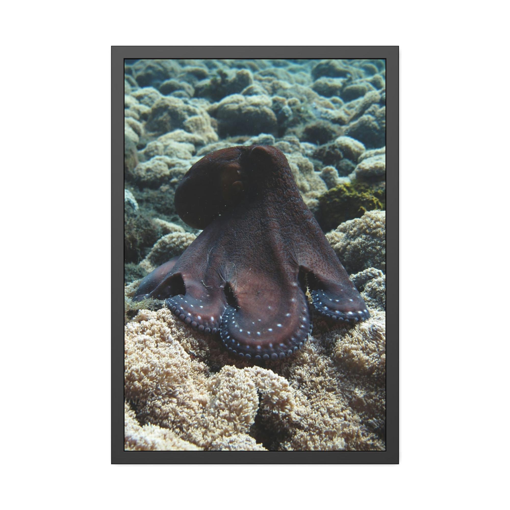 undefined The Enchantment of Octopuses: A Mysterious and Captivating Painting on Canvas