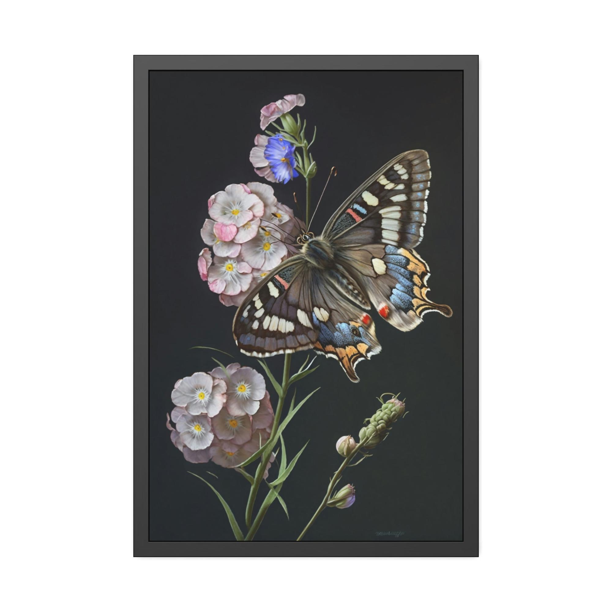 Butterflys One Butterfly: Framed Canvas & Poster Print Capturing the Beauty of a Single Insect