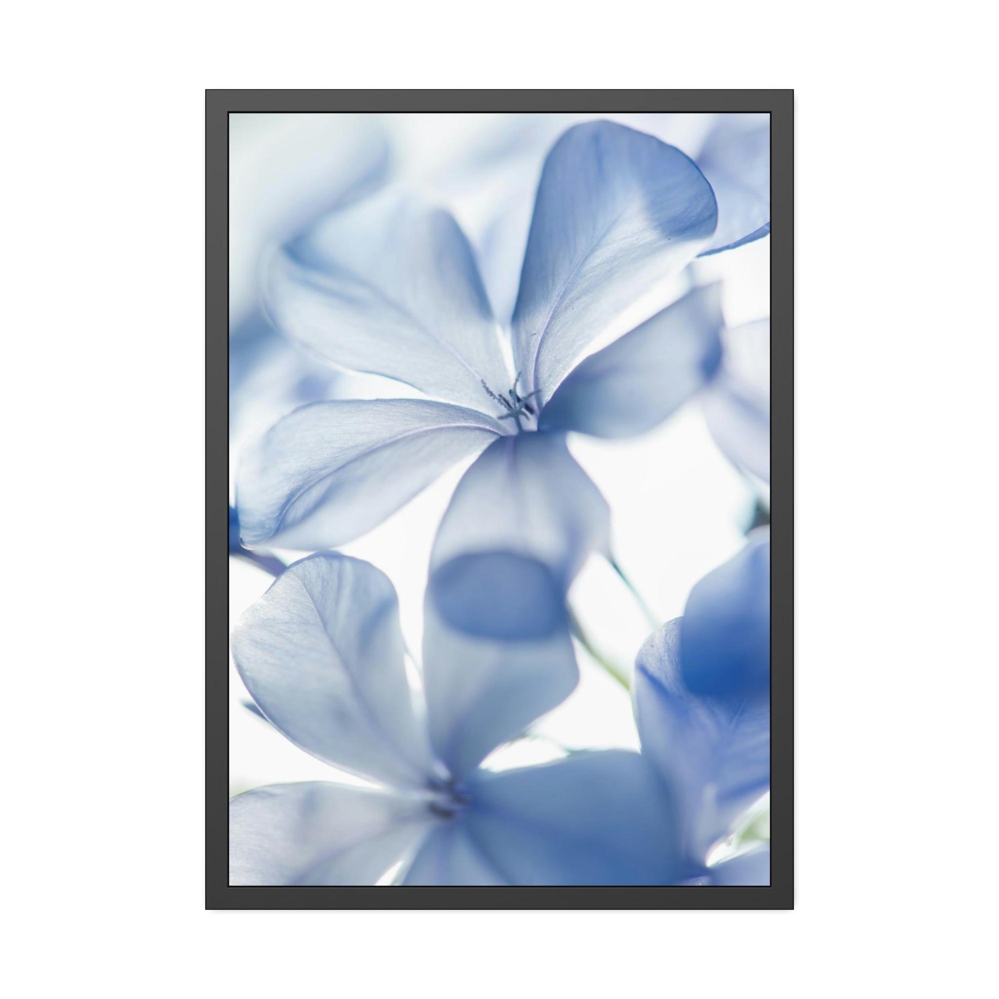 Floral Floral Whispers: Nature's Soft Symphony