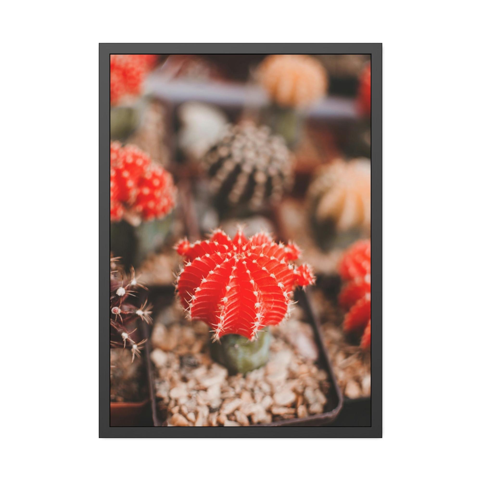 Cactus Cactus Kingdom: Canvas and Poster Prints of a Prickly Paradise