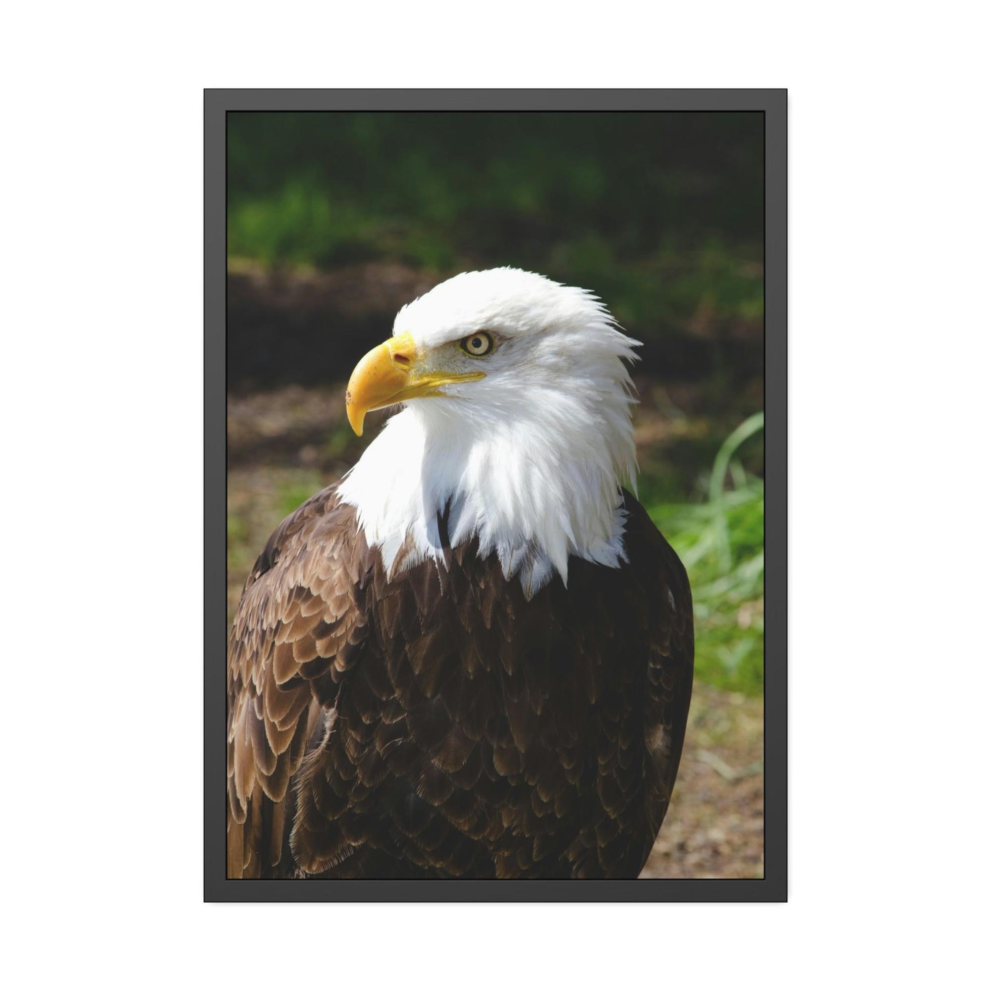 Eagles Eagles in the Wild: Canvas Wall Art Celebrating these Noble Creatures