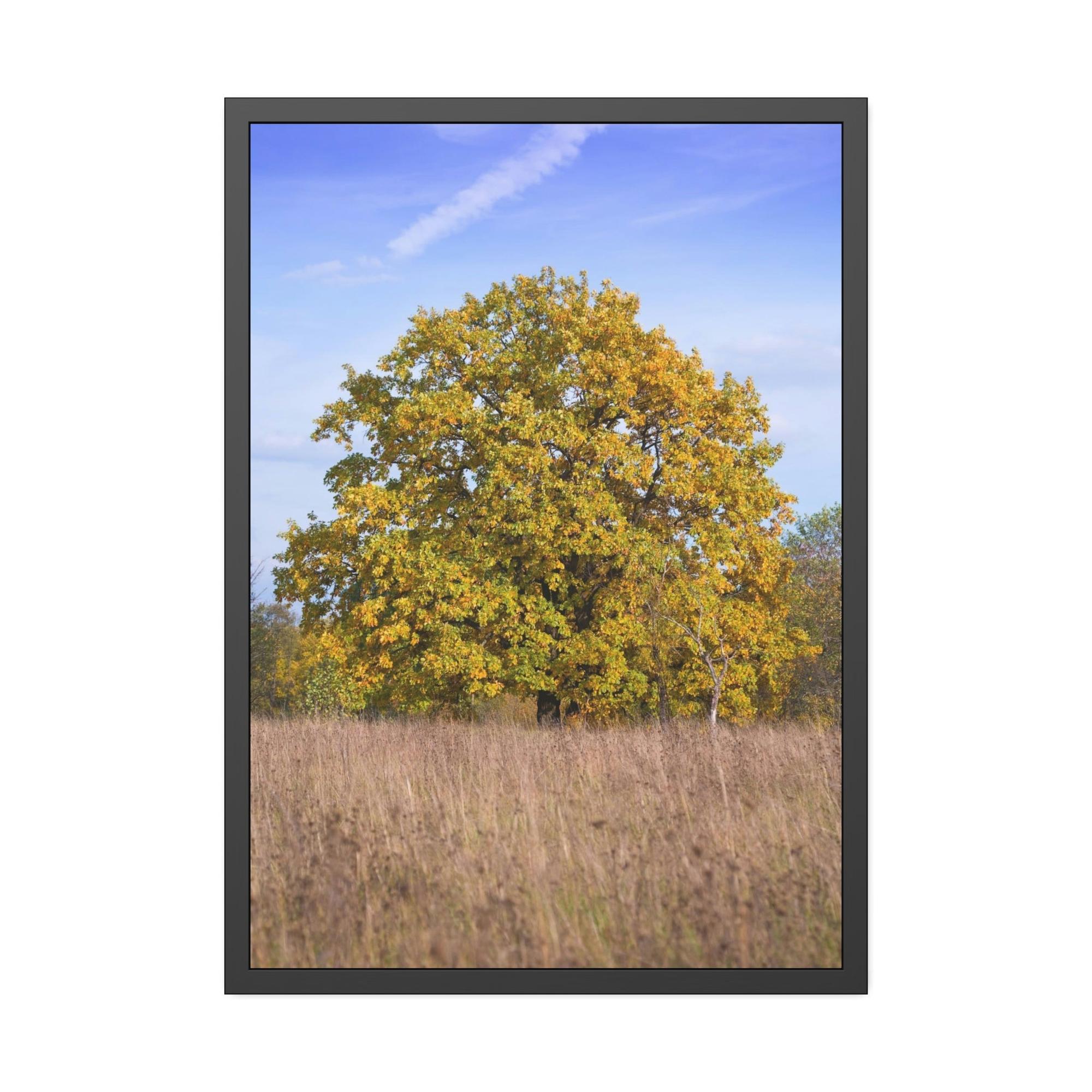 Oak Trees Whispers in the Wind: A Mystical Encounter with the Enchanting Oak Tree