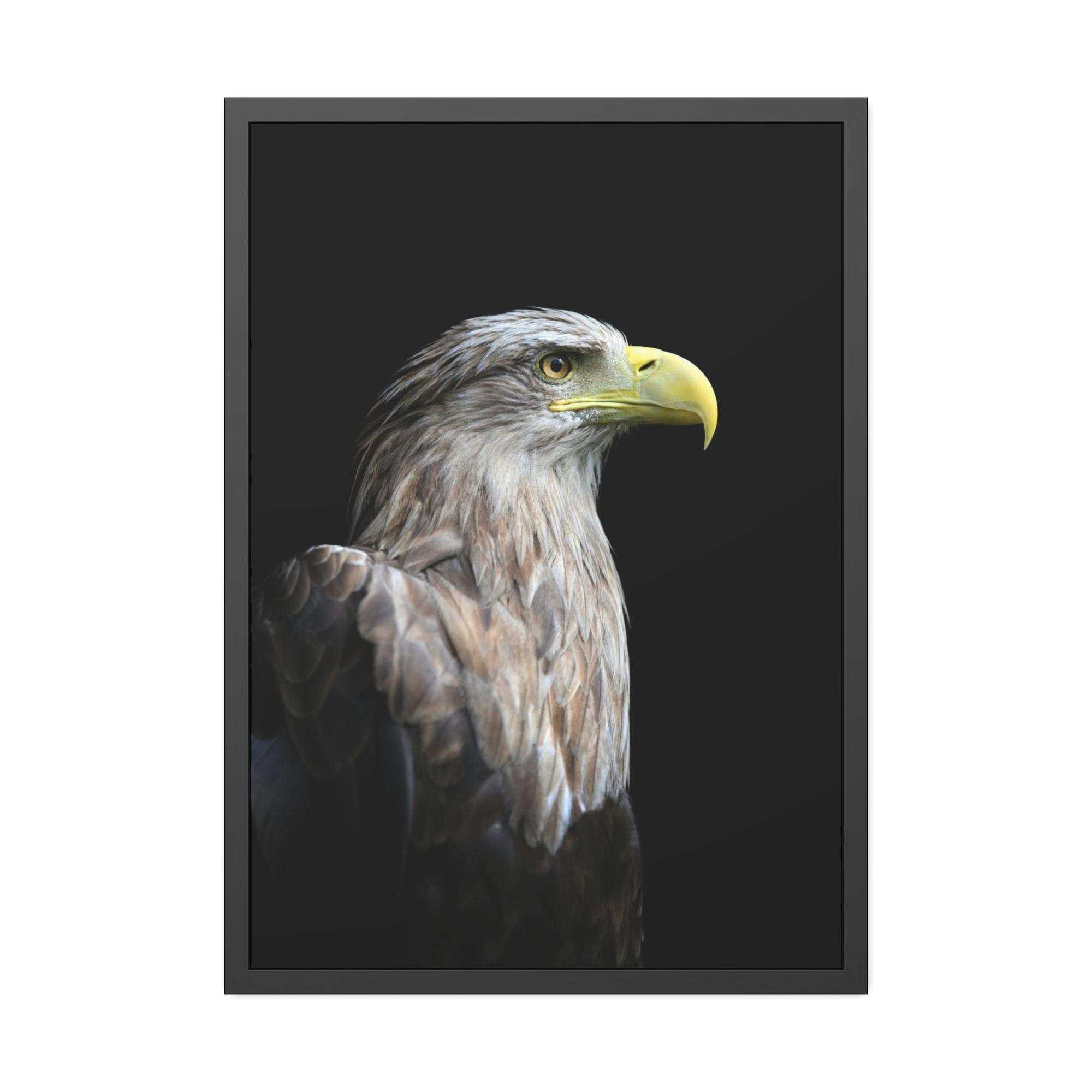 Eagles Eagle's Resilience: Inspiring Canvas Print, Showcasing their Indomitable Spirit