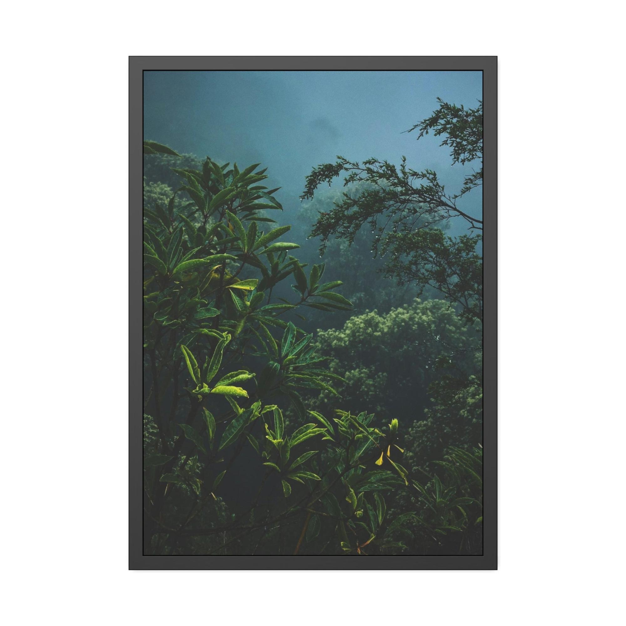 undefined Forest and Jungle: A Haven of Tranquility and Serenity