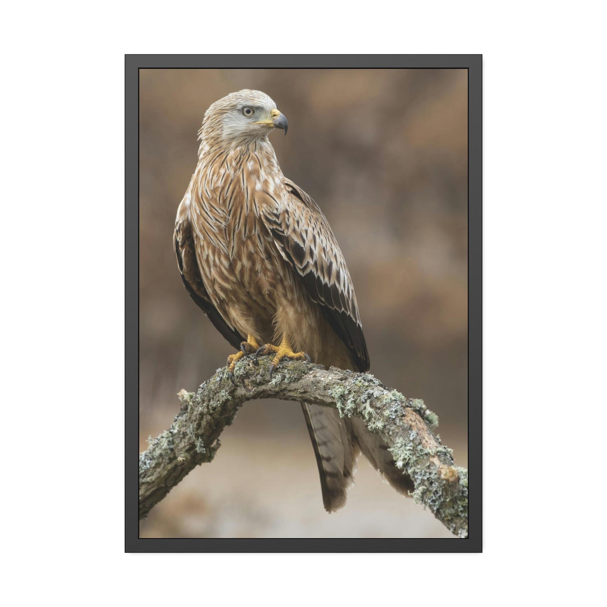 Eagles Wings of Majesty: Poster & Canvas Celebrating the Power of Eagles