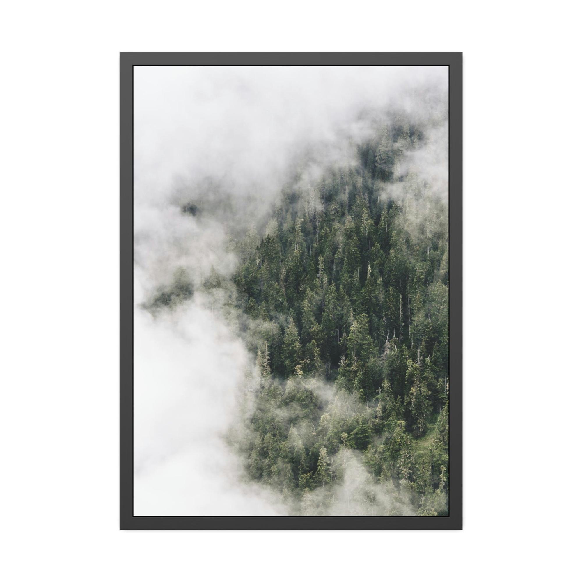 Forest Trees The Enchantment of the Woods: A Forest Dream