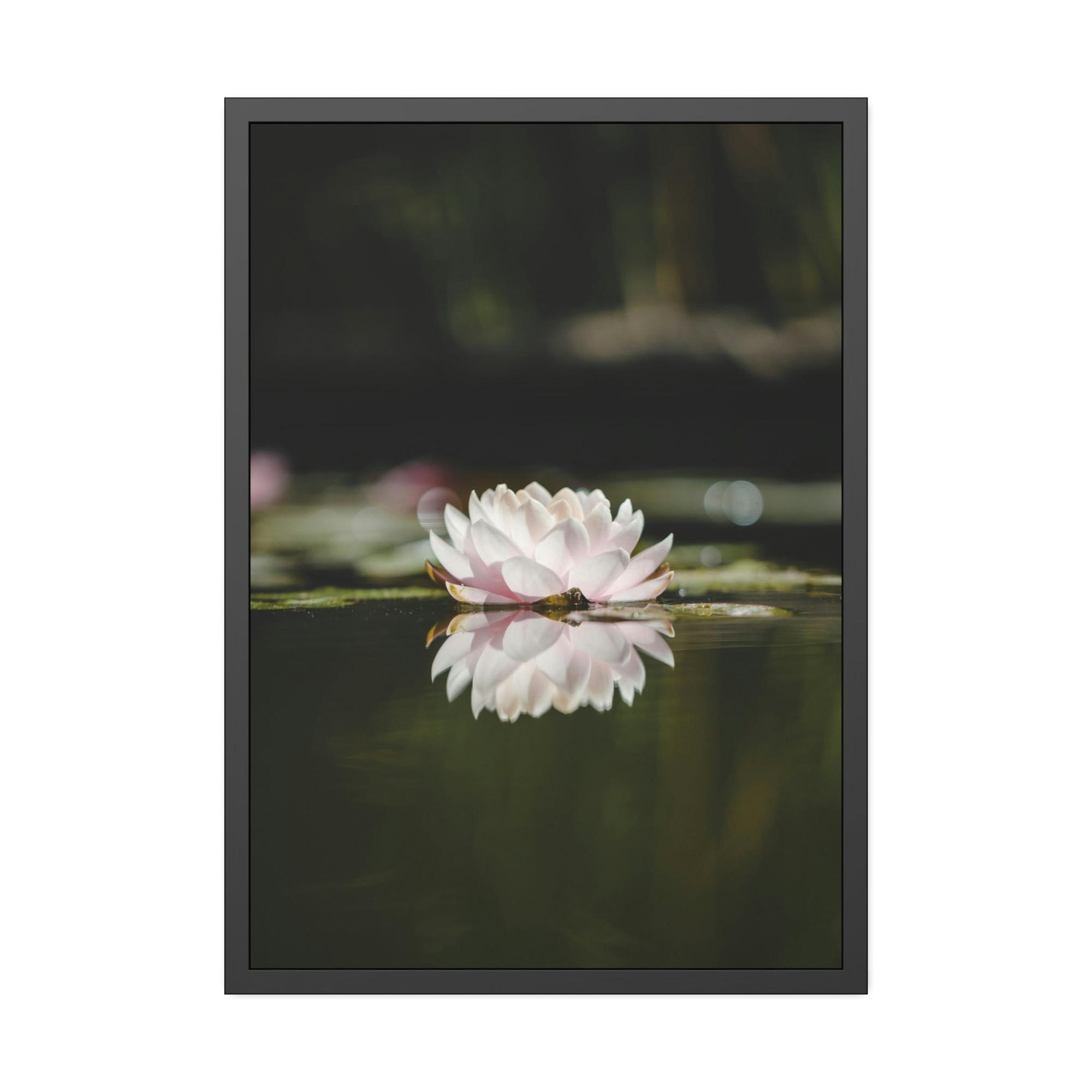 Lilies & Waterlily Waterlily Paradise: A Canvas of Natural Tranquility