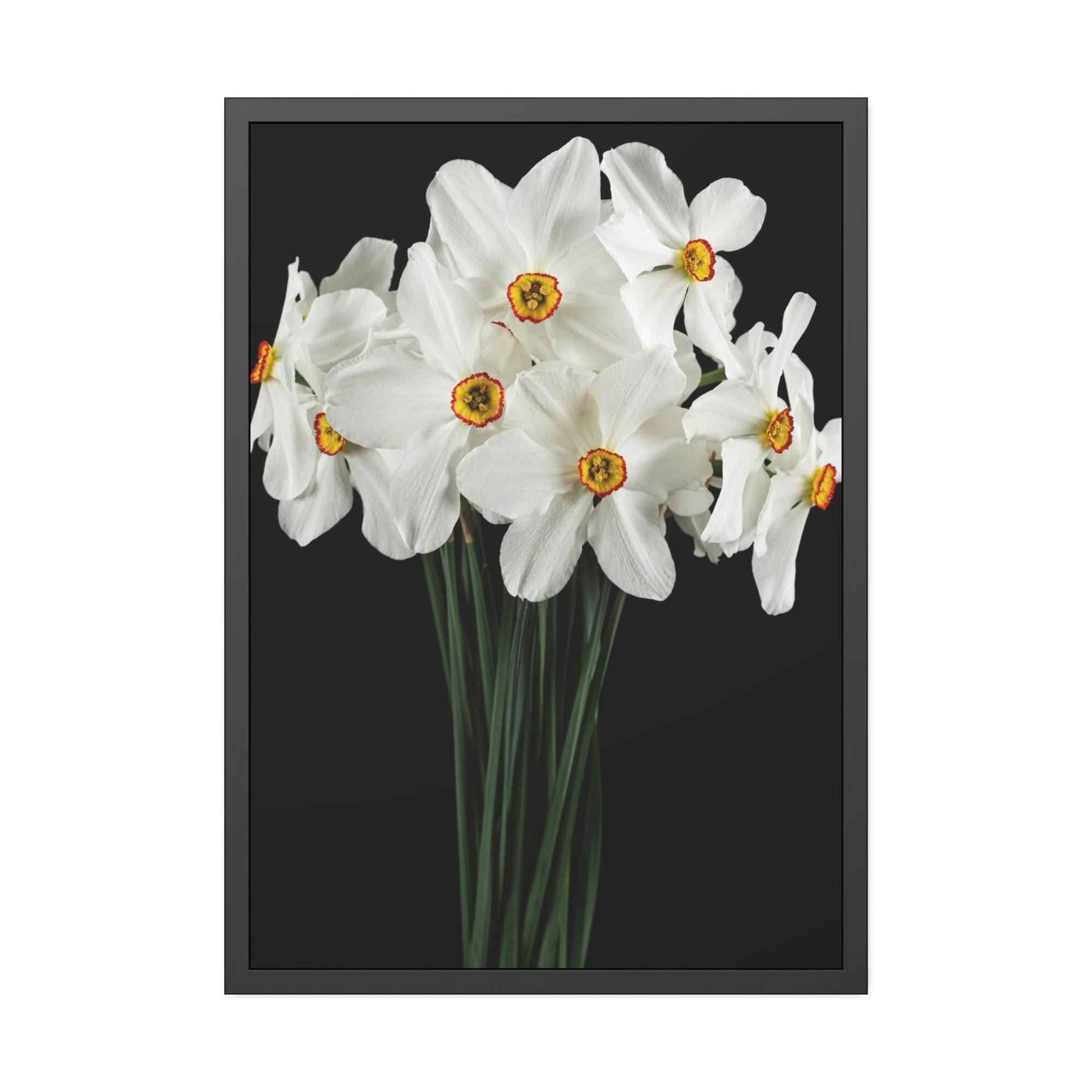 Daffodils Daffodil Euphoria: A Blissful Awakening