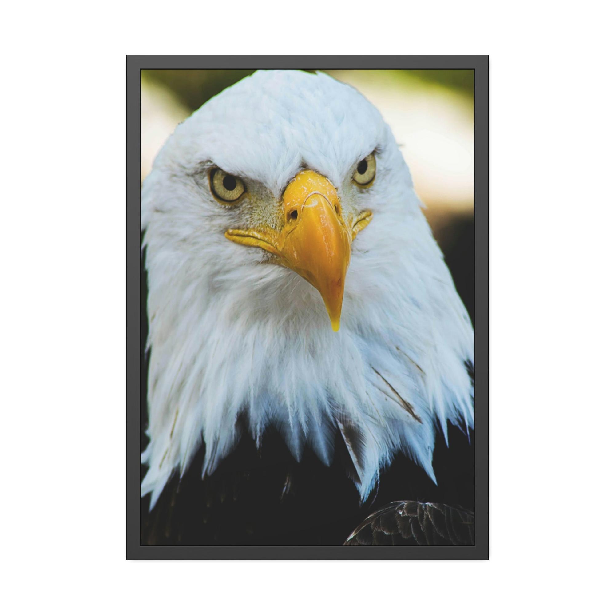 Eagles Eagle's Vigil: Canvas & Poster Enchanting with the Gaze of Majestic Birds