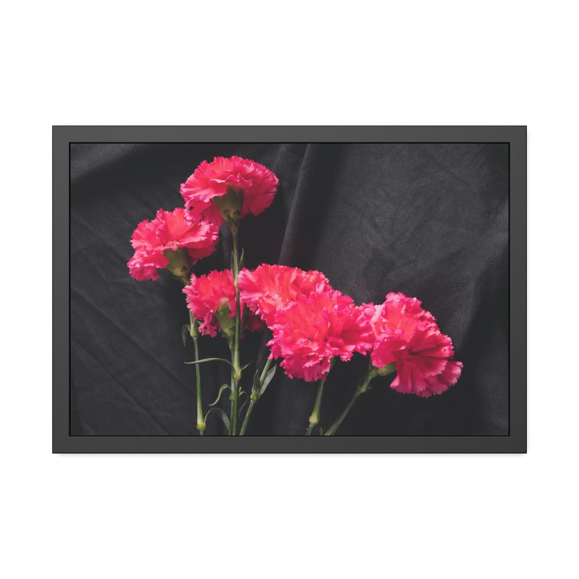 Carnations Beautiful Blooms: Natural Canvas and Art Prints of Carnations