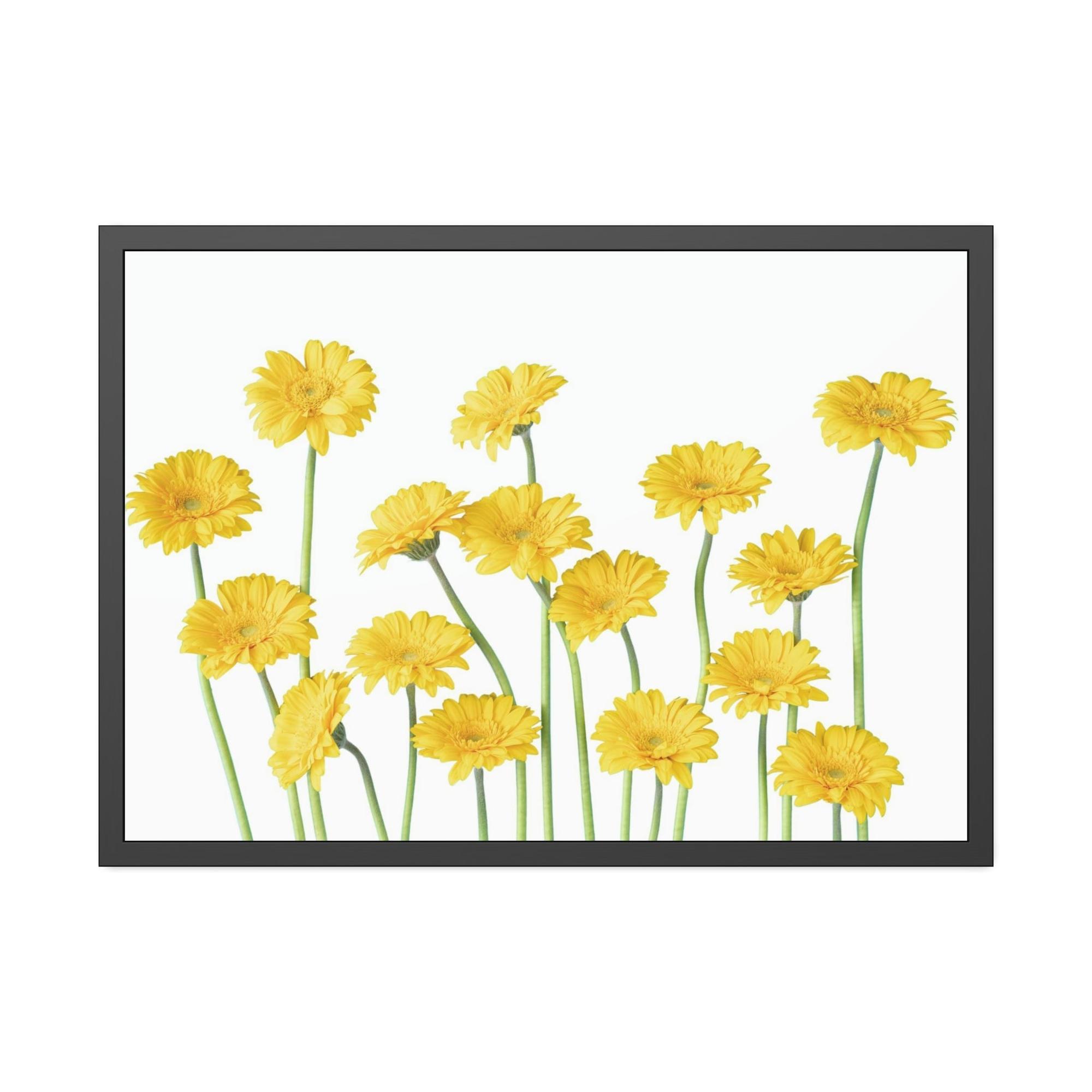 Floral Floral Frenzy: A Burst of Blossoms