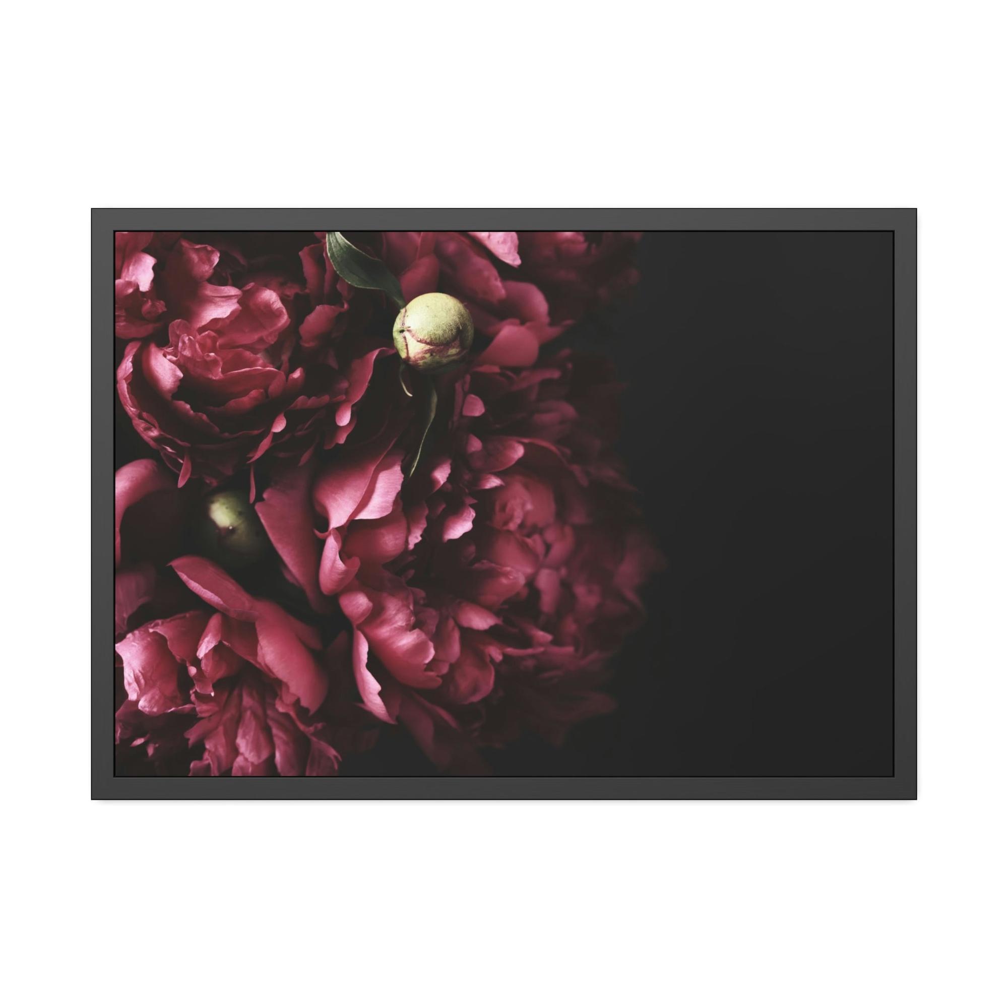 Peonies Petals and Promises: Peonies in Love