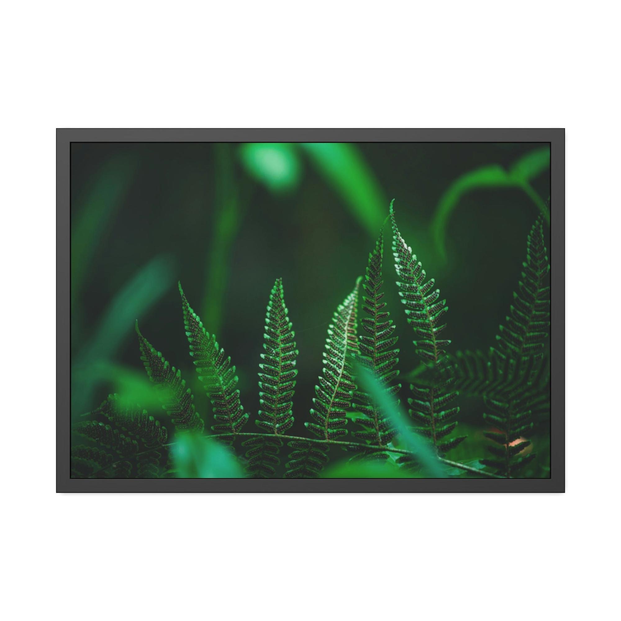 Plants A Flourishing Oasis of Plants: A Haven of Peace and Tranquility