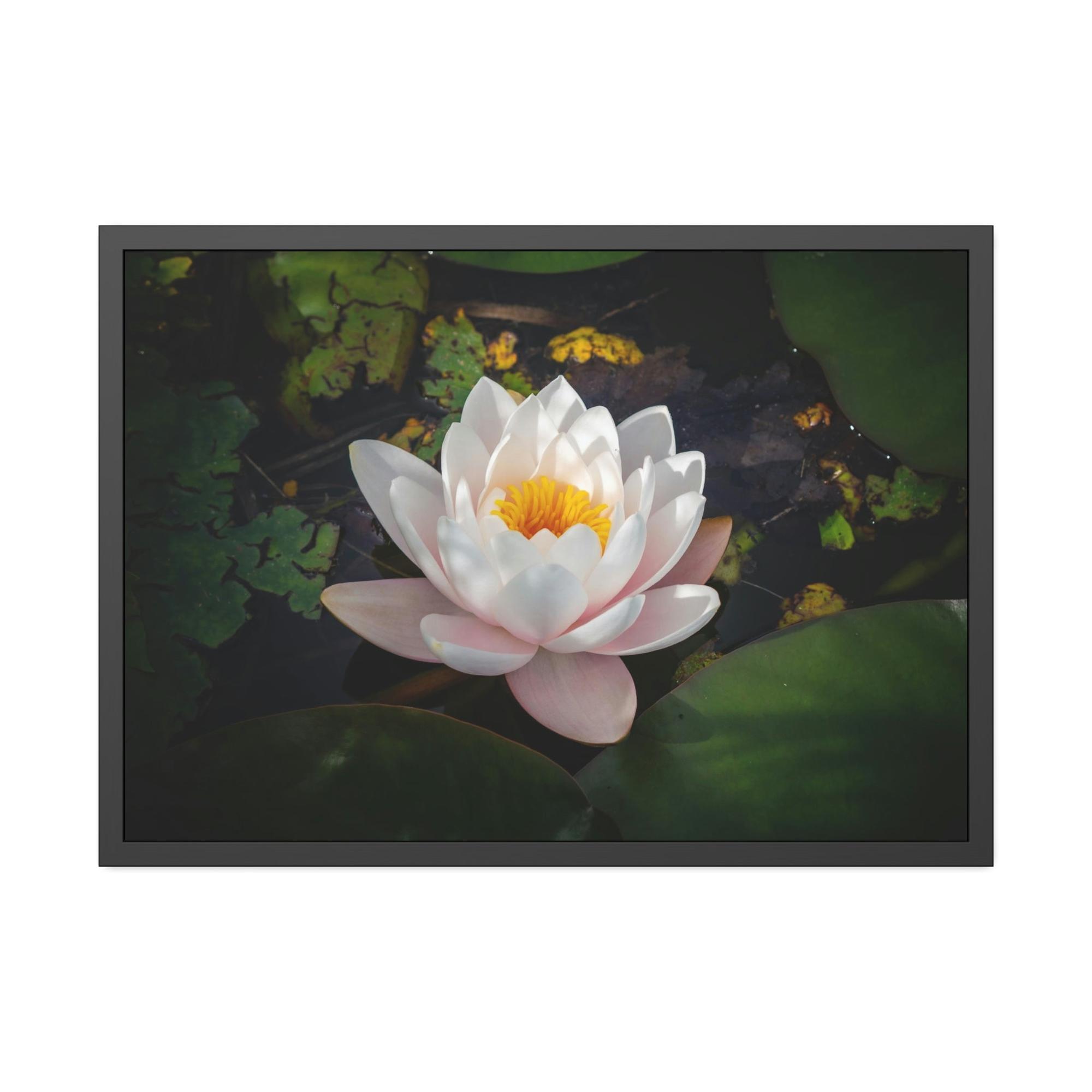 Lilies & Waterlily Tranquil Waters: A Canvas Depiction of Lilies Afloat
