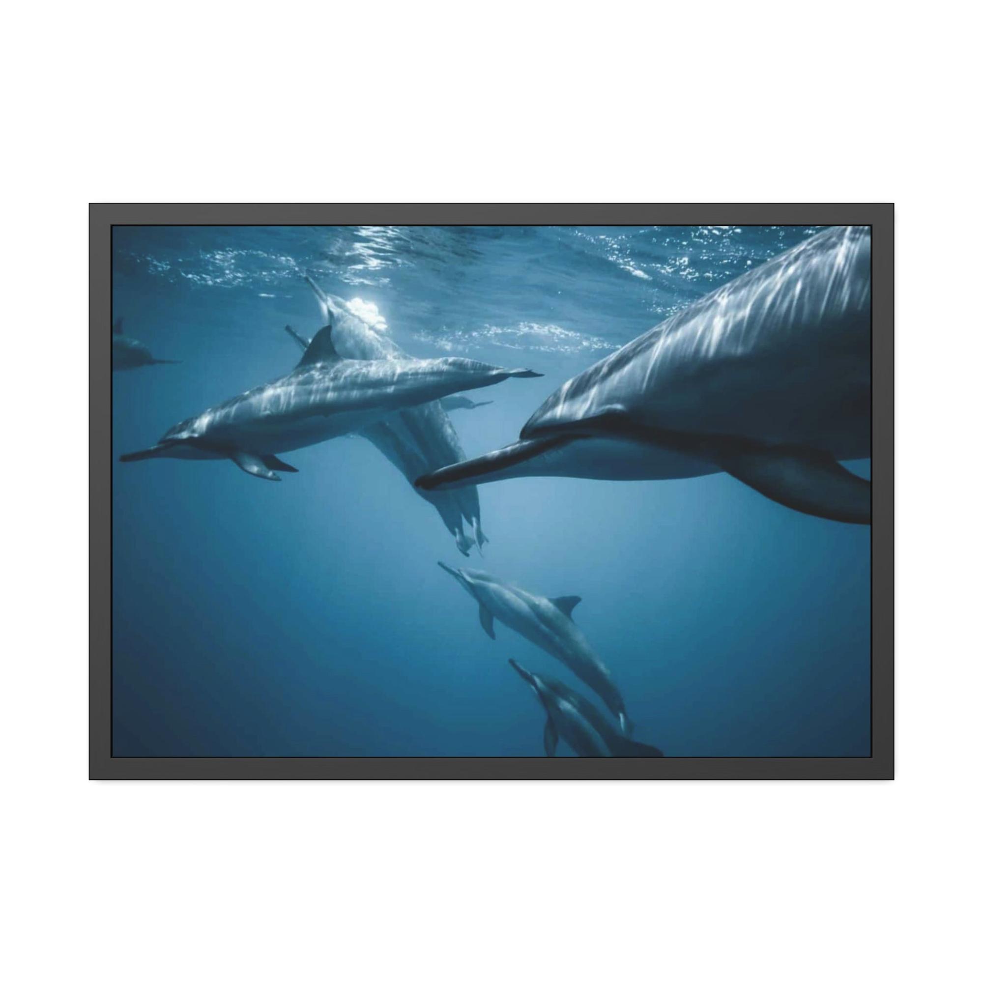 Dolphins Dolphin Delight: Canvas Print and Wall Art of Joyful Dolphins