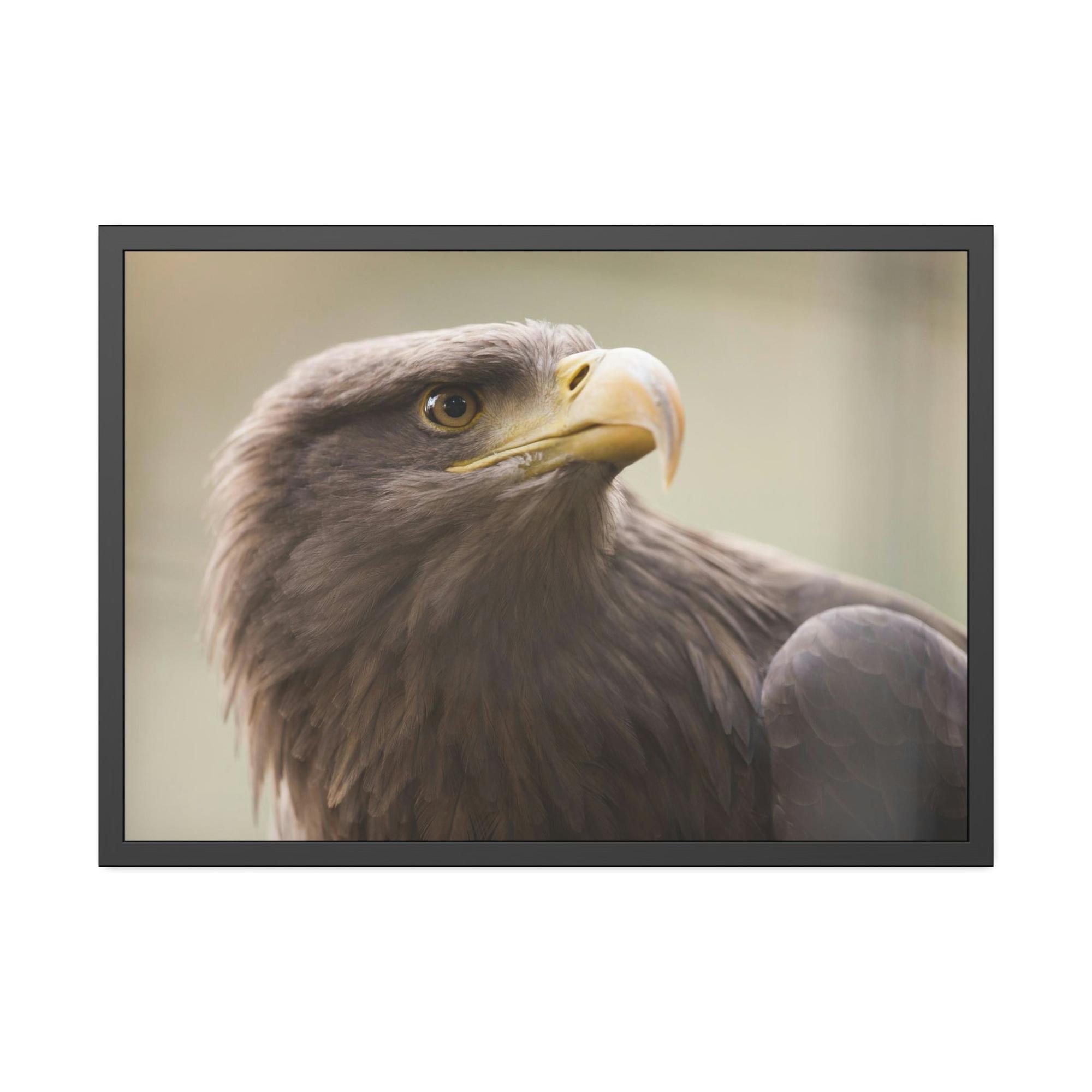 undefined Flight of Wonder: Wall Art Enthralling with the Mystique of Eagles in Flight