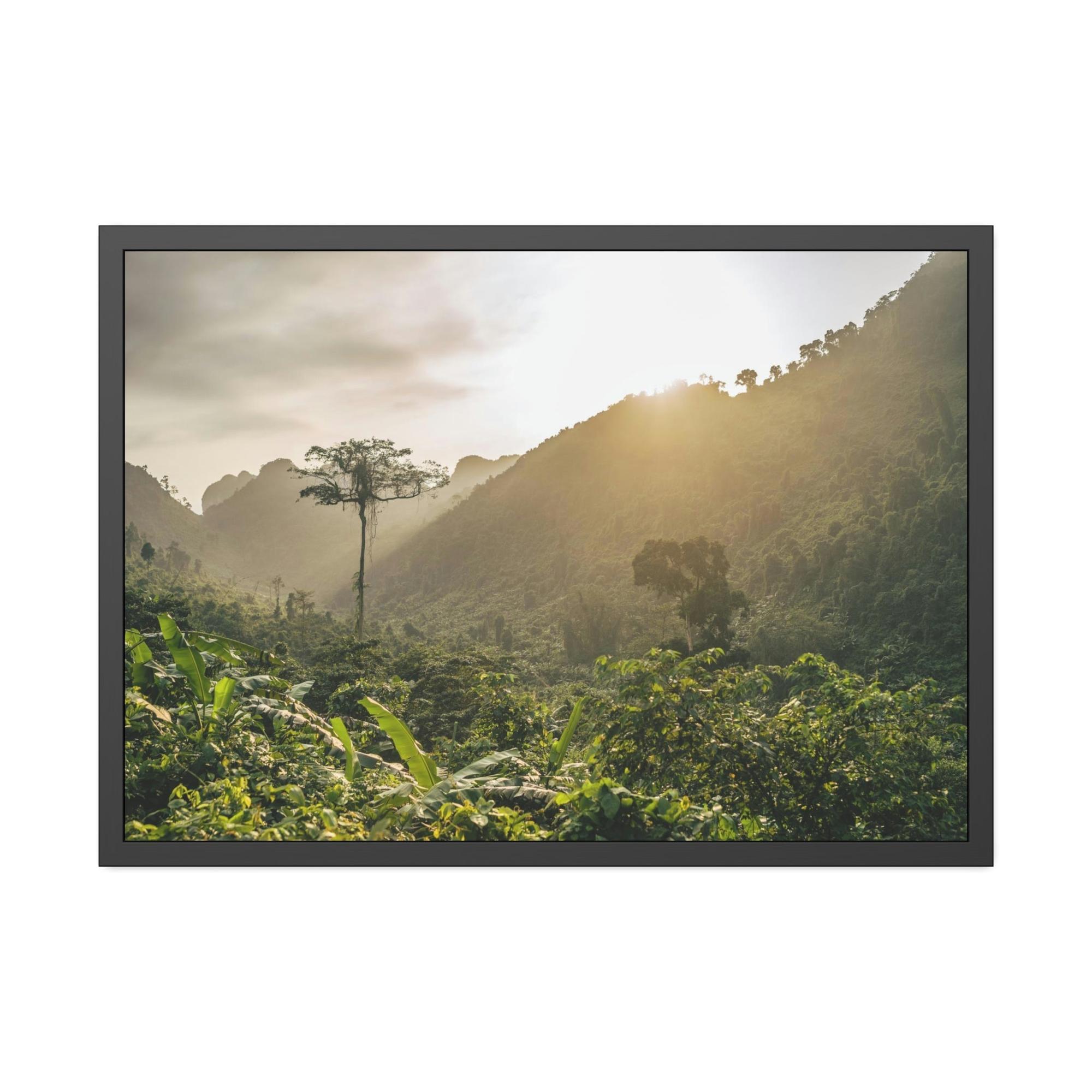 Forests And Jungles A Journey Through Forests and Jungles: A Glimpse into the Heart of Nature