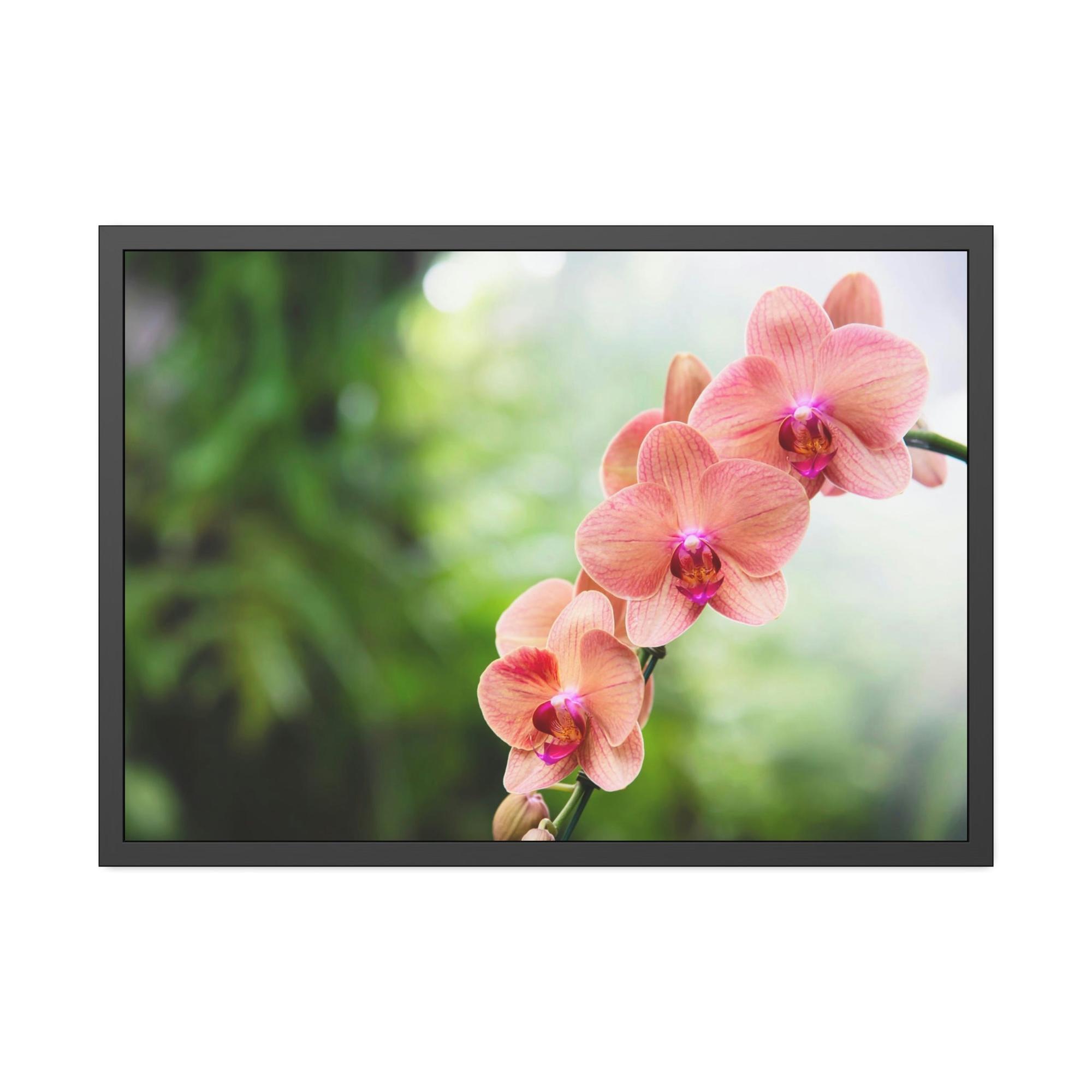 Orchids Whispers of Orchids: A Soft Canvas Touch