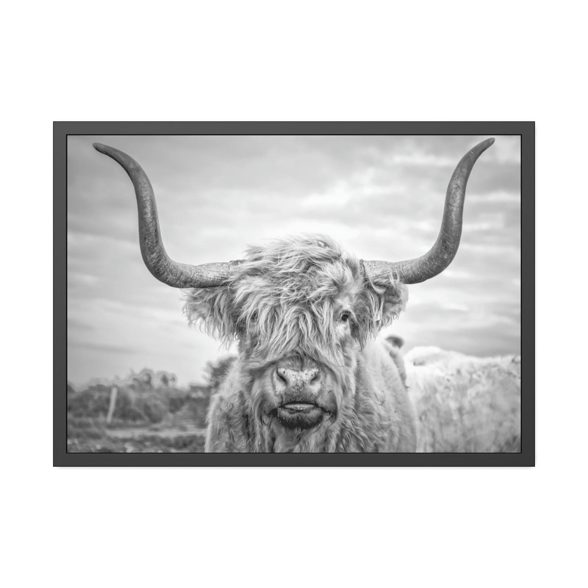 Highland Cow Highland Cow Canvas Print | Black-White Colors | Horned Cattle Wall Art — Pixoram