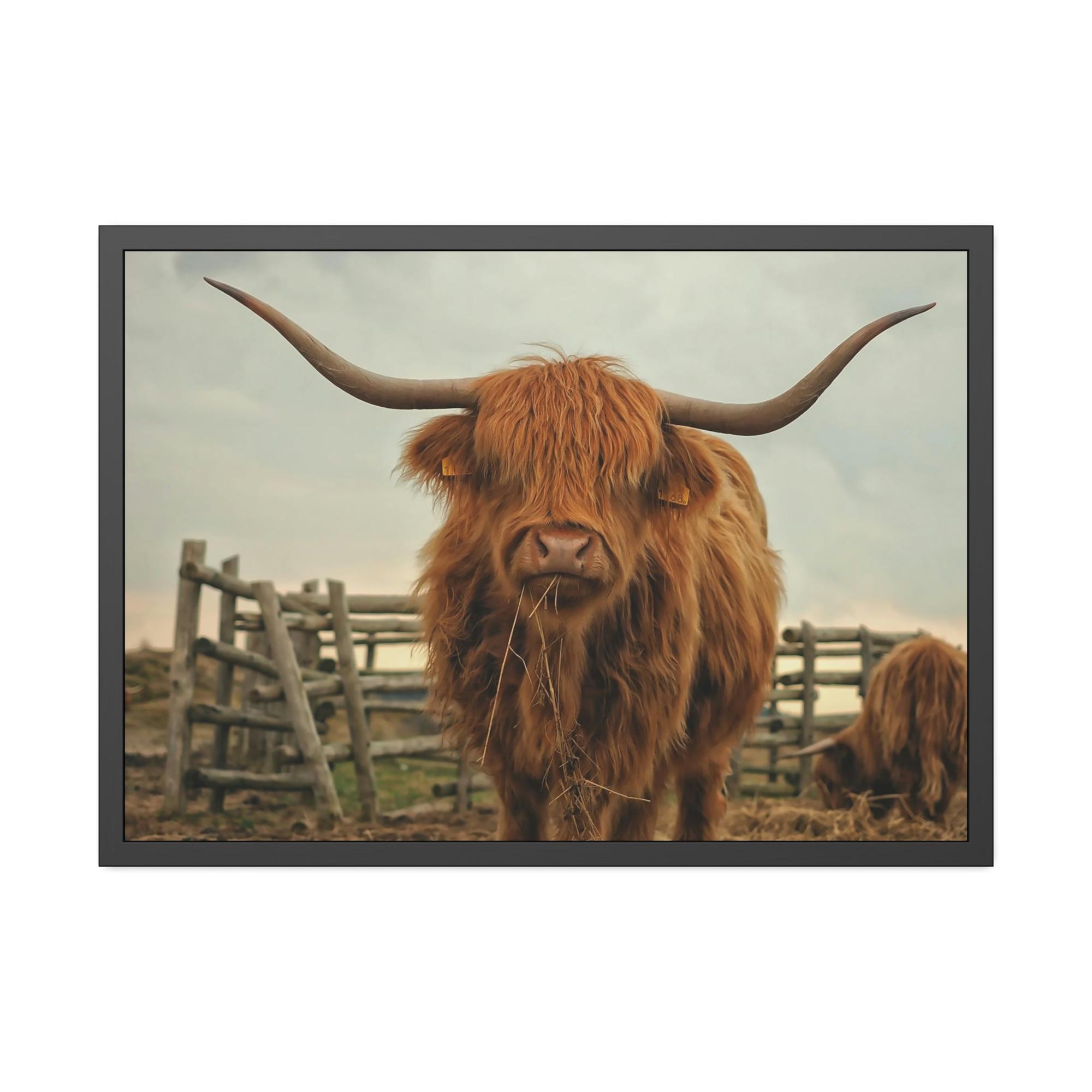 Highland Cow Highland Cow | Brown Horned Cow | Wall Art — Pixoram