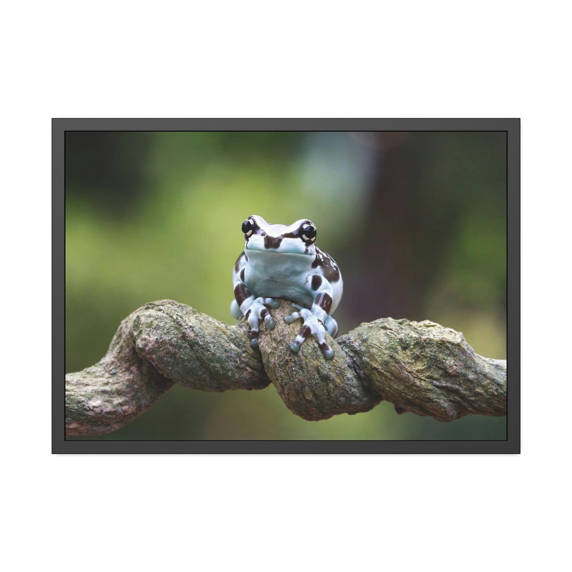 Frogs The Magic of Frogs: A Mystical Journey Through Nature's Realm