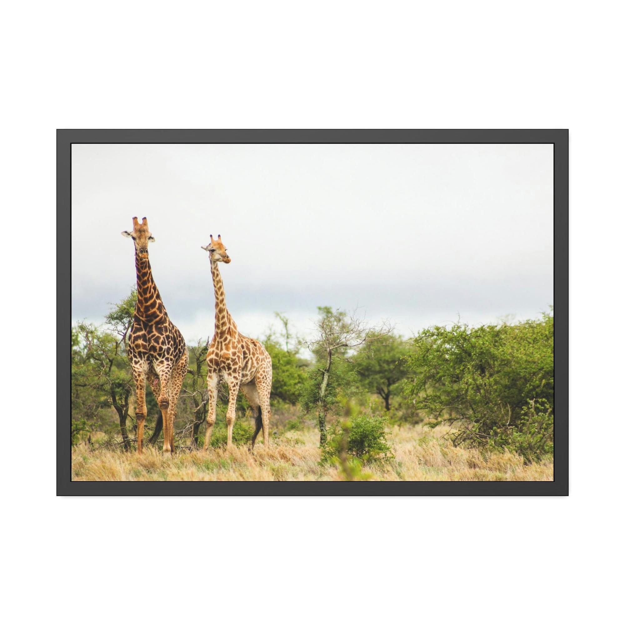 Safari Safari Adventure: An Epic Journey Through the African Wilderness