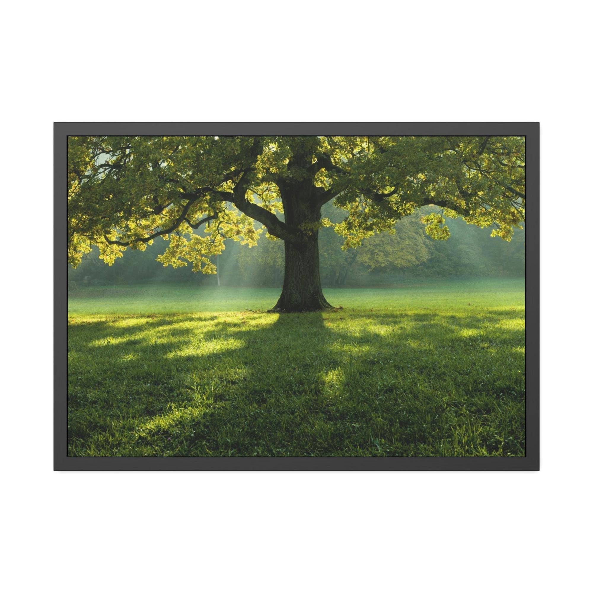 Trees The Tree of Life: A Soaring Tribute to the Power of Nature