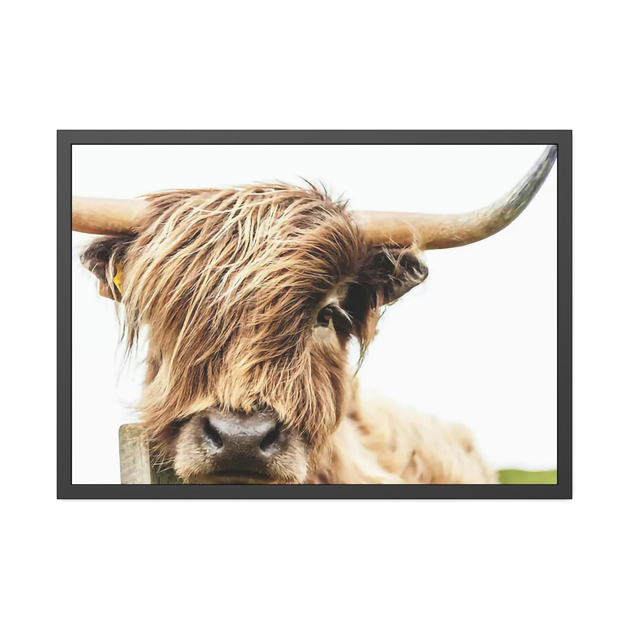 Highland Cow Highland Cow Canvas Wall Art | Mellow Highland Cow | Canvas Art — Pixoram