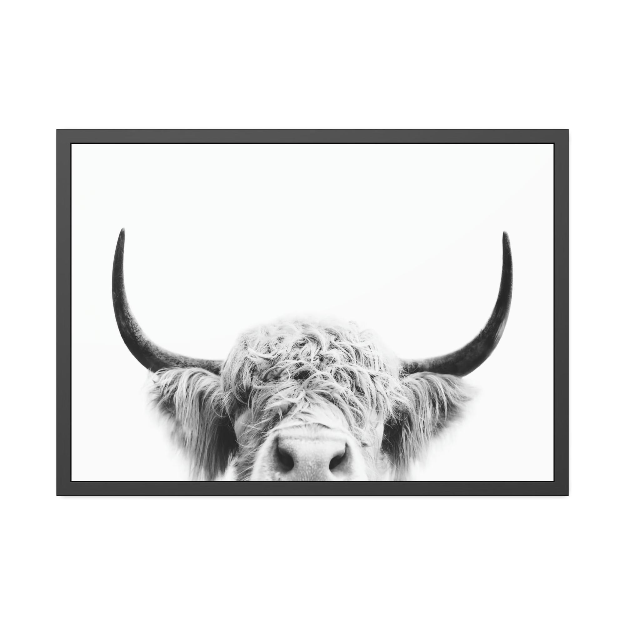 Highland Cow Highland Cow | Close-up of a Horned Cow | Wall Art — Pixoram