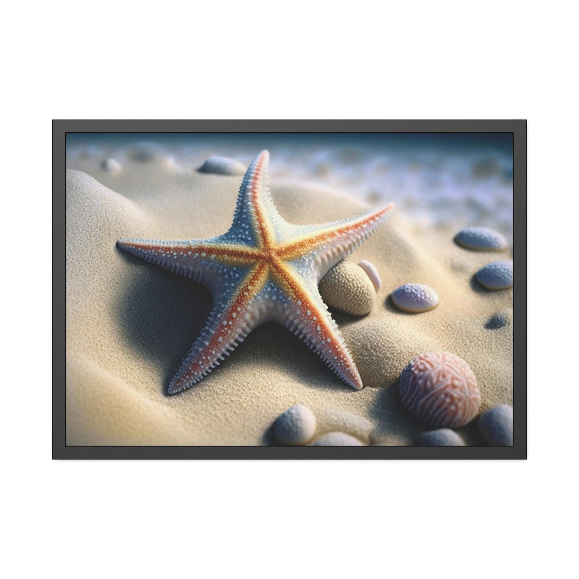 Starfishs Starfish Tales: A Story of Sea Life and Wonder